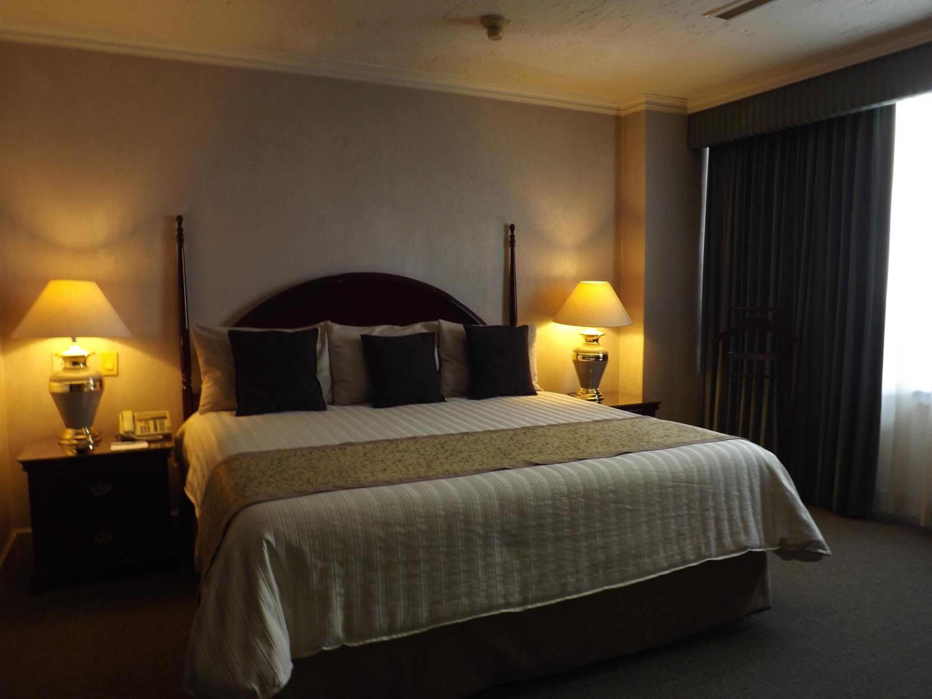Photo - Pedregal Palace