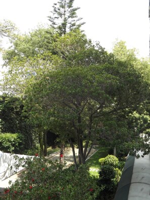 Property grounds - Hotel Pedregal Palace (Mexico City)
