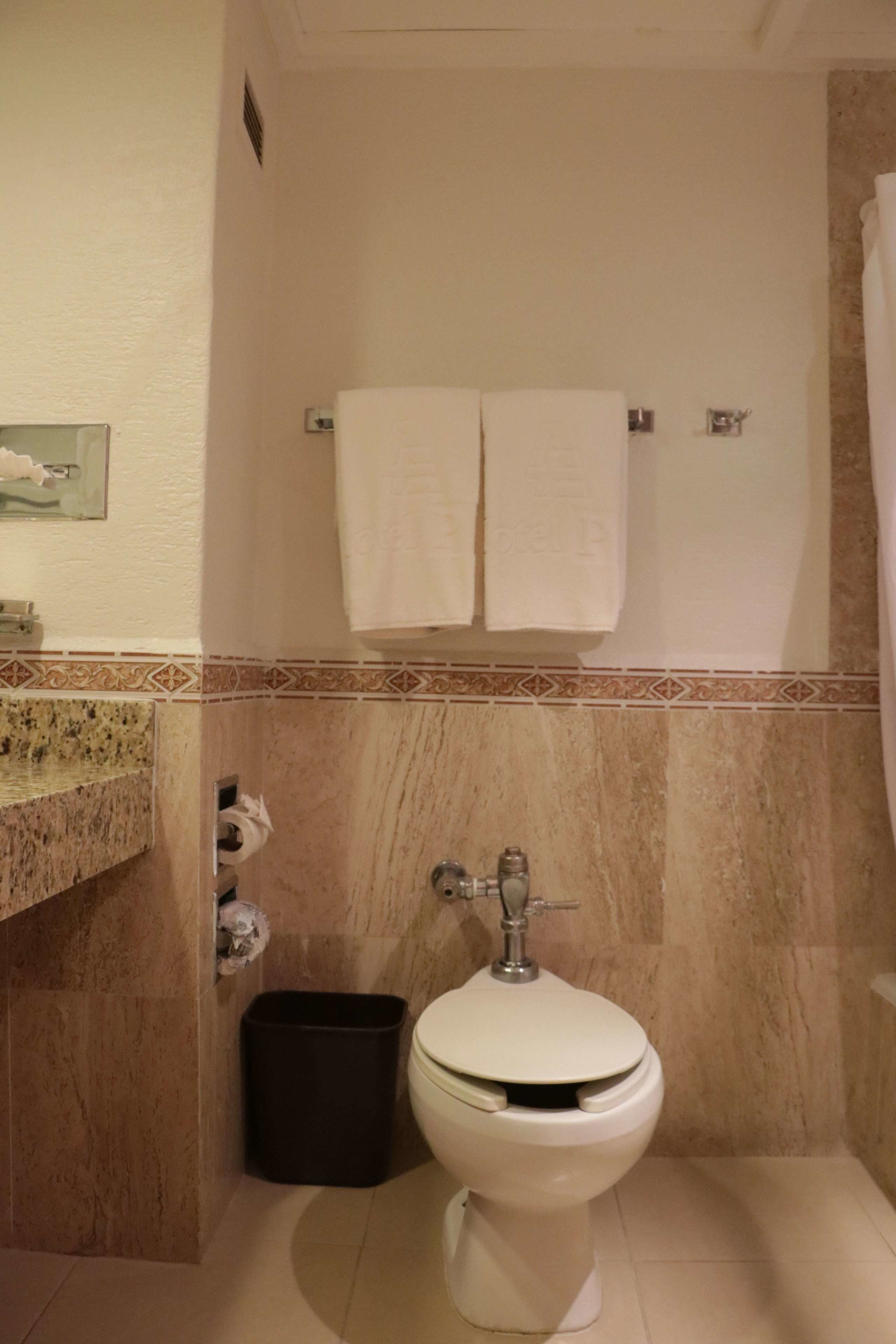 Shower kamar mandi