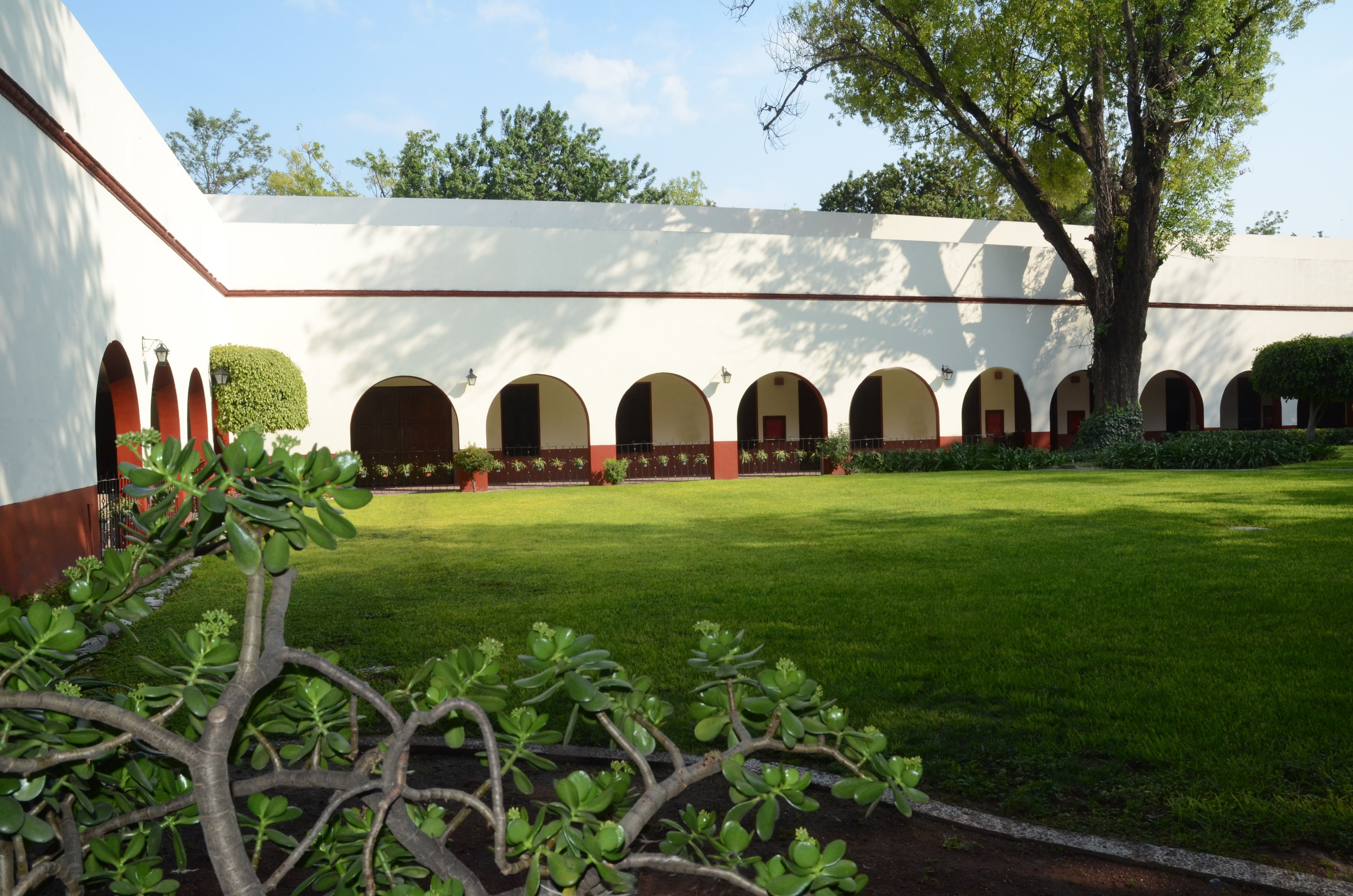 A courtyard with a white building, green lawn, and arched doorways.