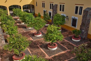 Vista desde la habitación