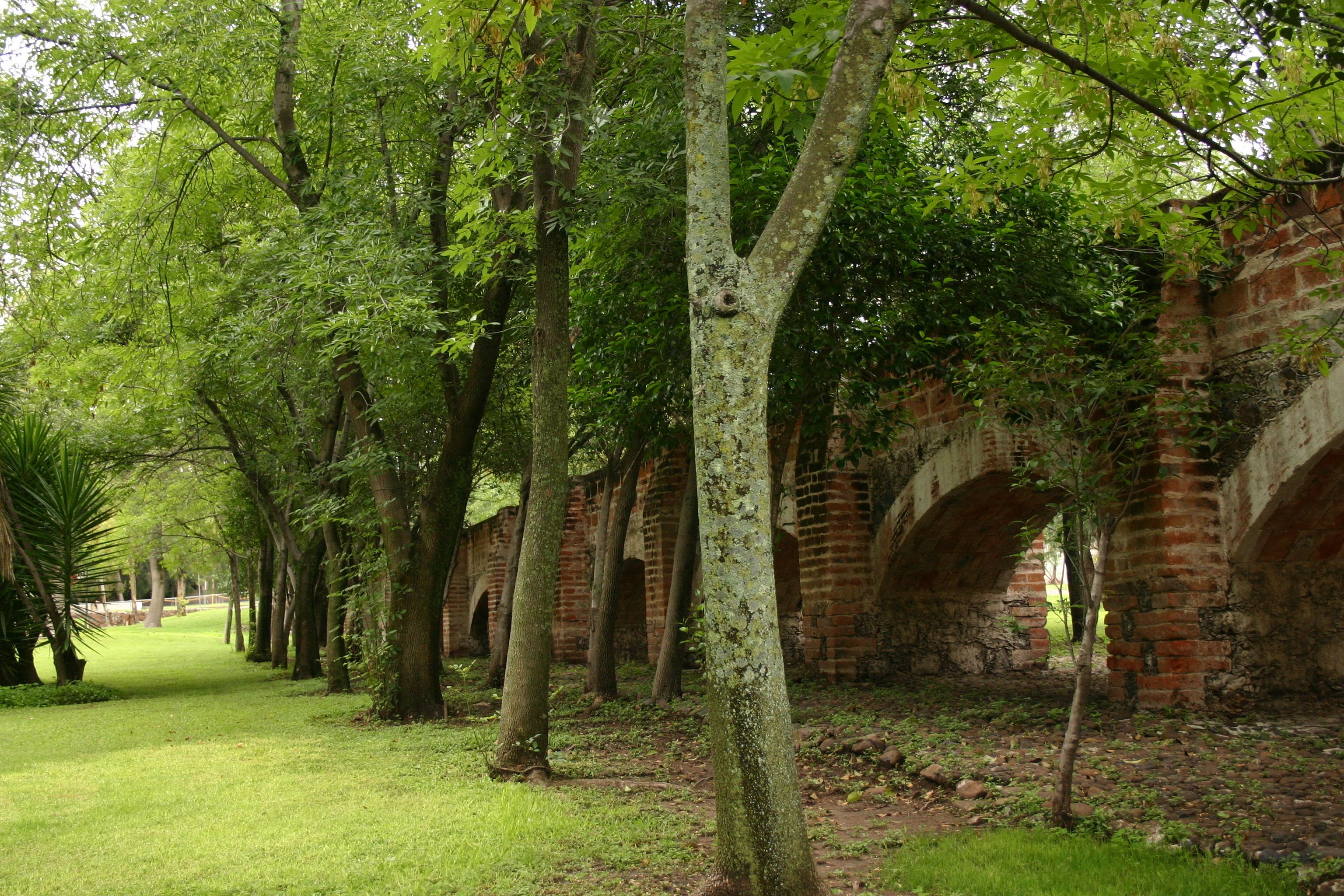 Un sendero bordeado de árboles y arcos de ladrillo.