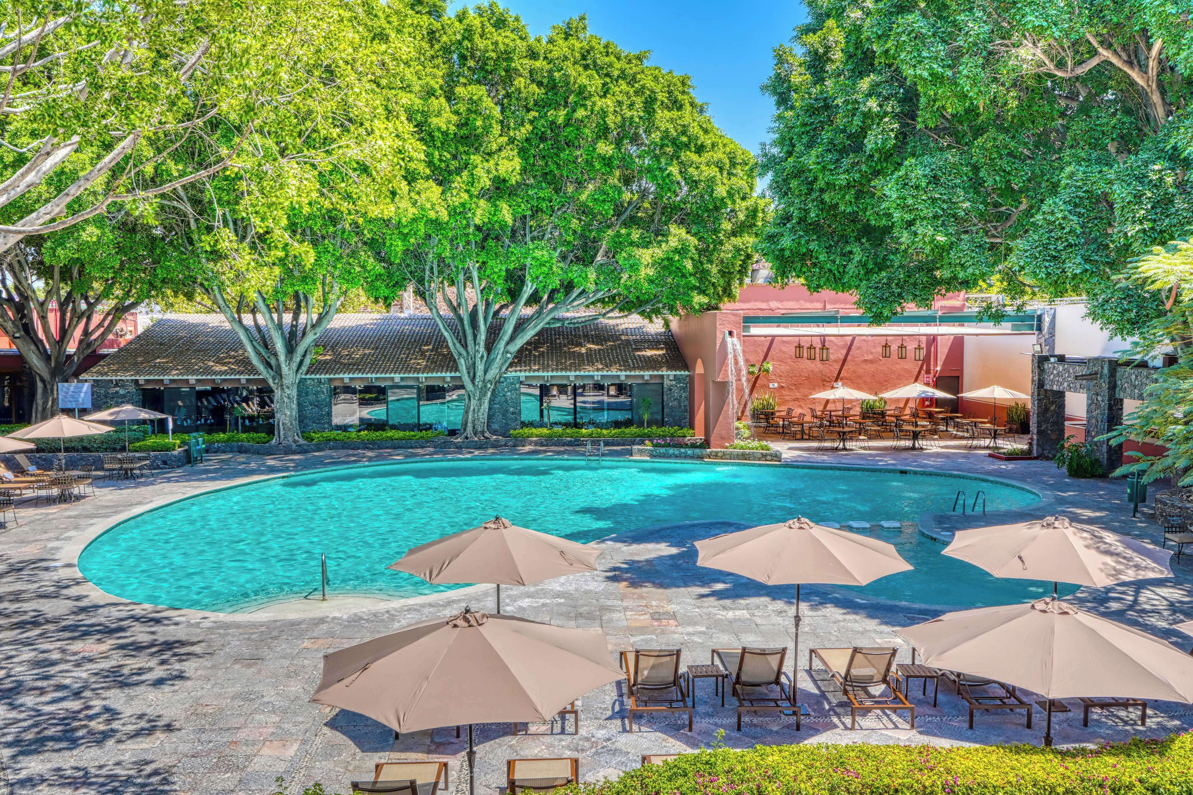 A pool area with lounge chairs and umbrellas, surrounded by trees and buildings.