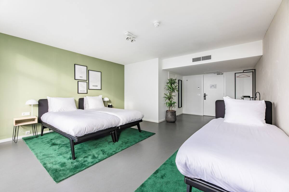 A modern hotel room with two beds, a green rug, a potted plant, and a minimalist design.