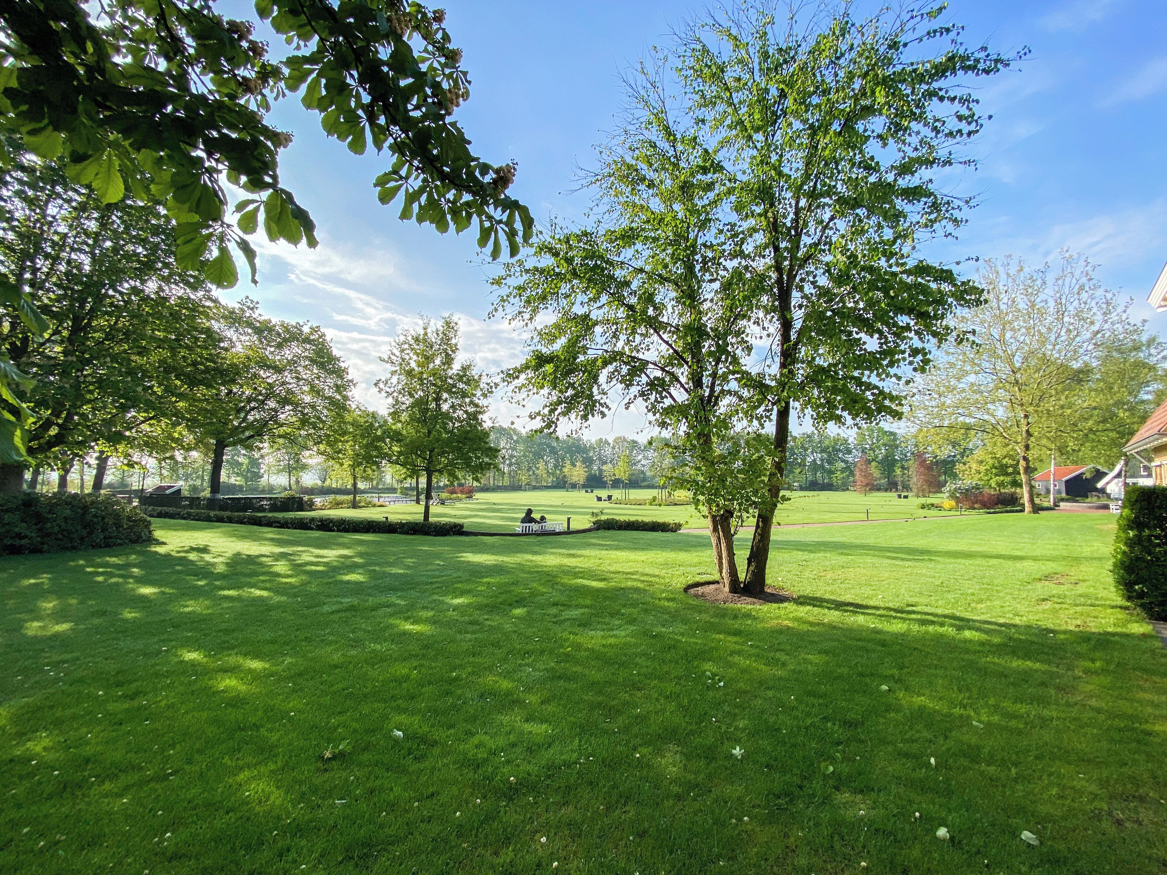 A well-maintained grassy lawn with a few trees and a bench.