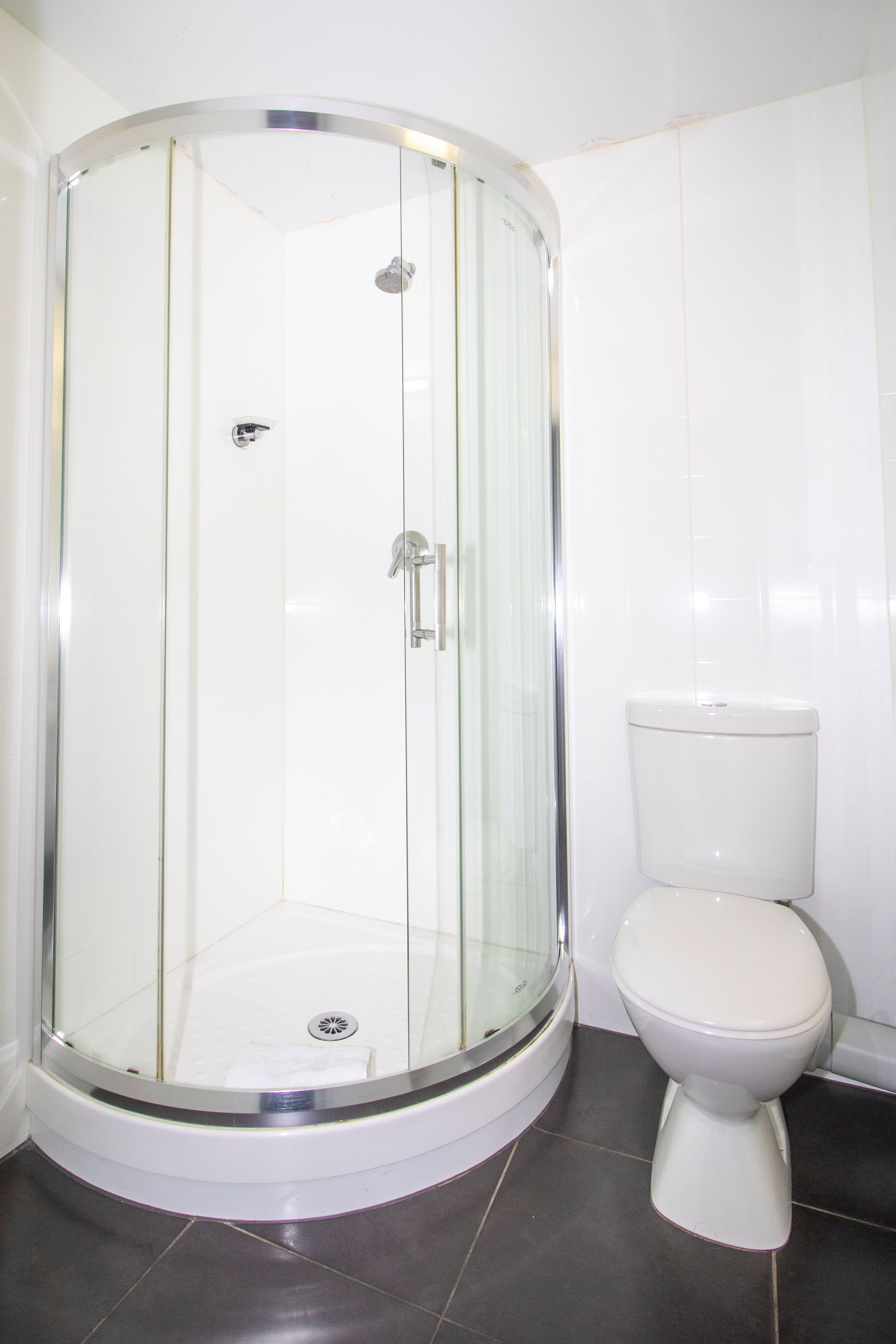 A glass-enclosed shower with a white toilet beside it.
