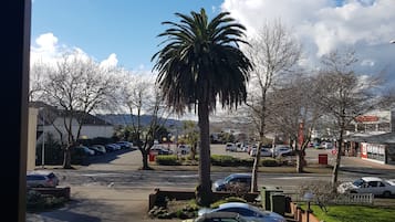 庭園