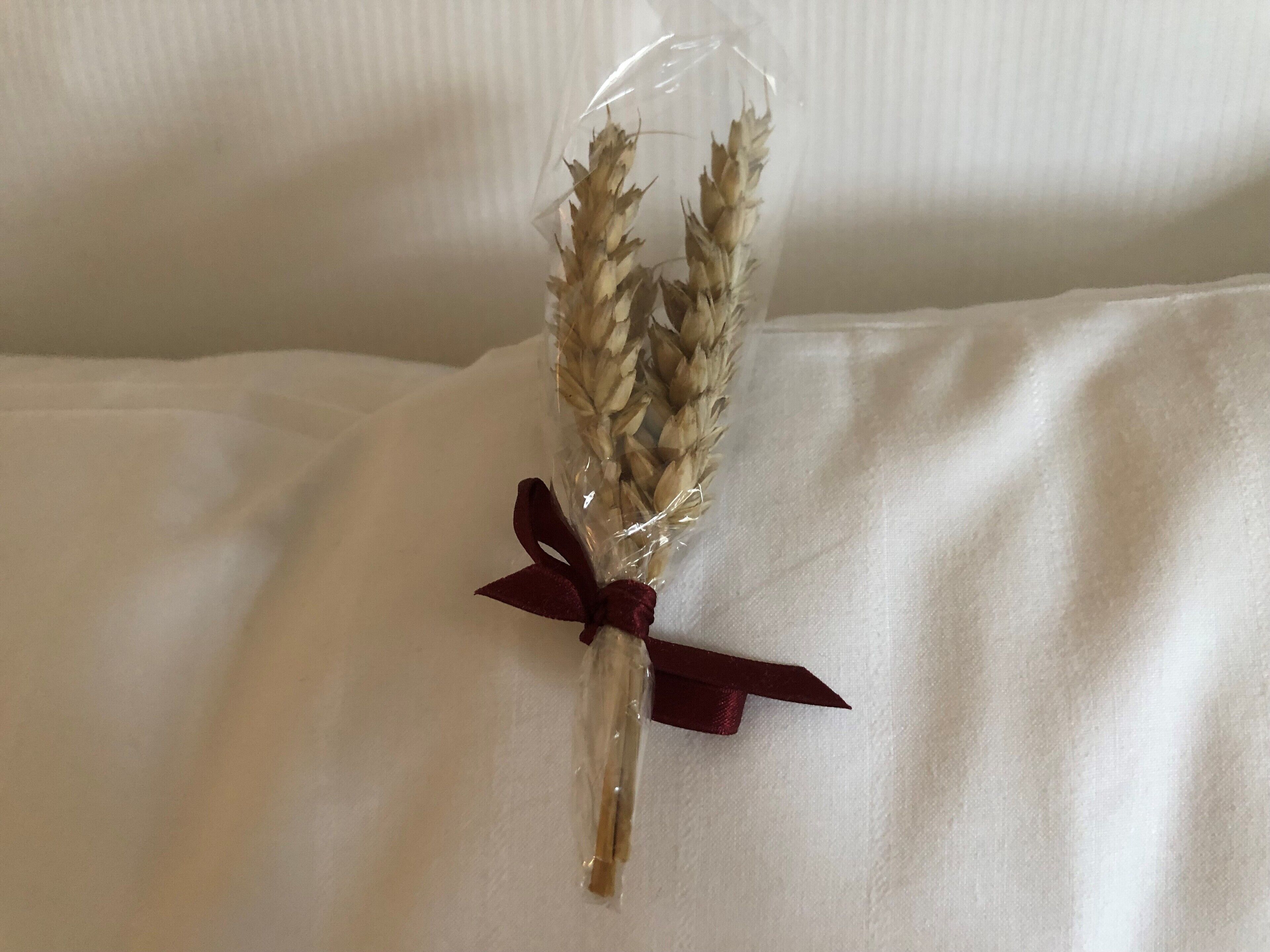 A bouquet of dried wheat stalks in a clear vase with a red ribbon.