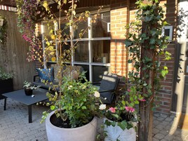 Un patio con pared de ladrillo, una ventana, un sofá con cojines y plantas en macetas.