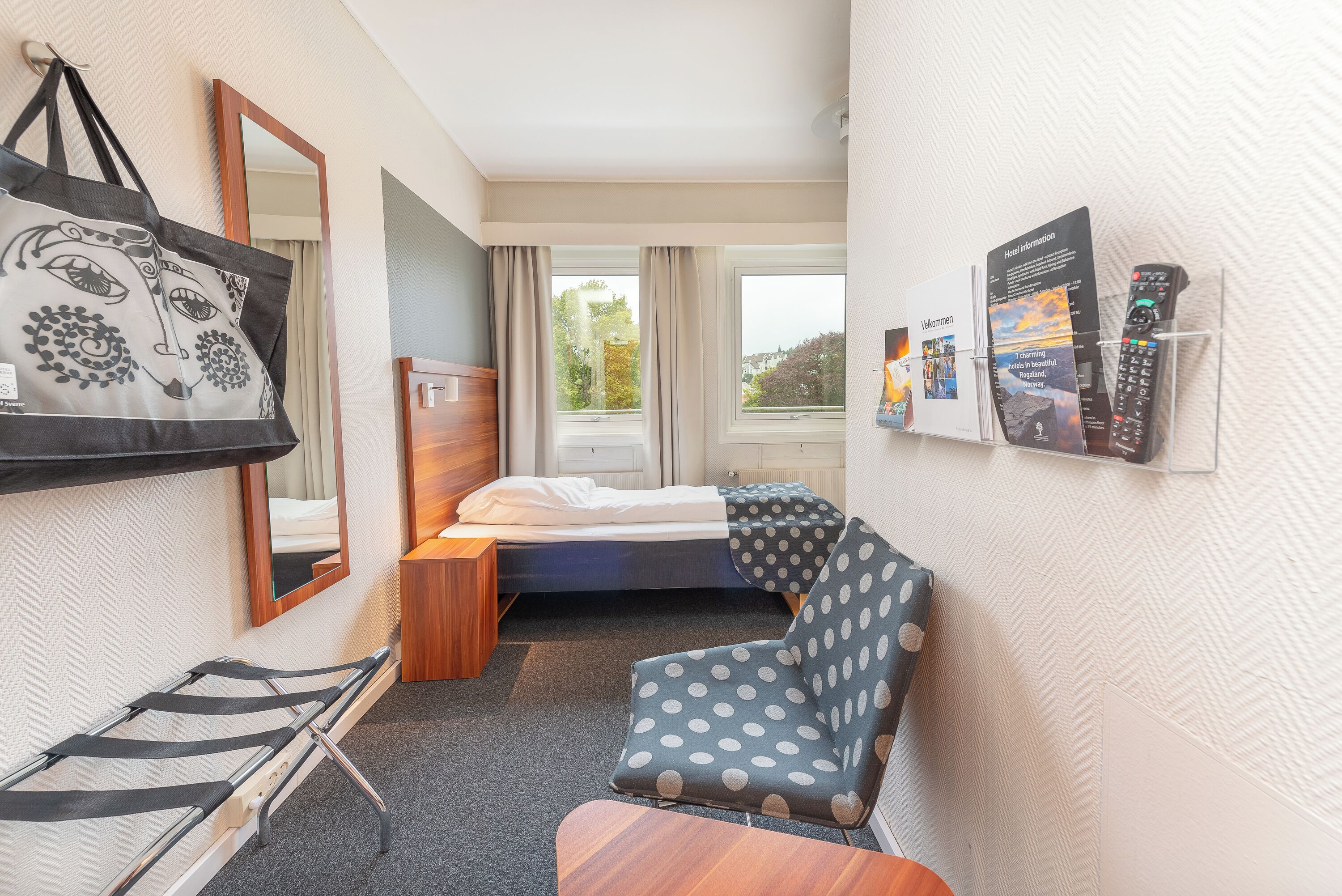 standard room, 1 single bed | 1 bedroom, desk, free wifi, bed sheets