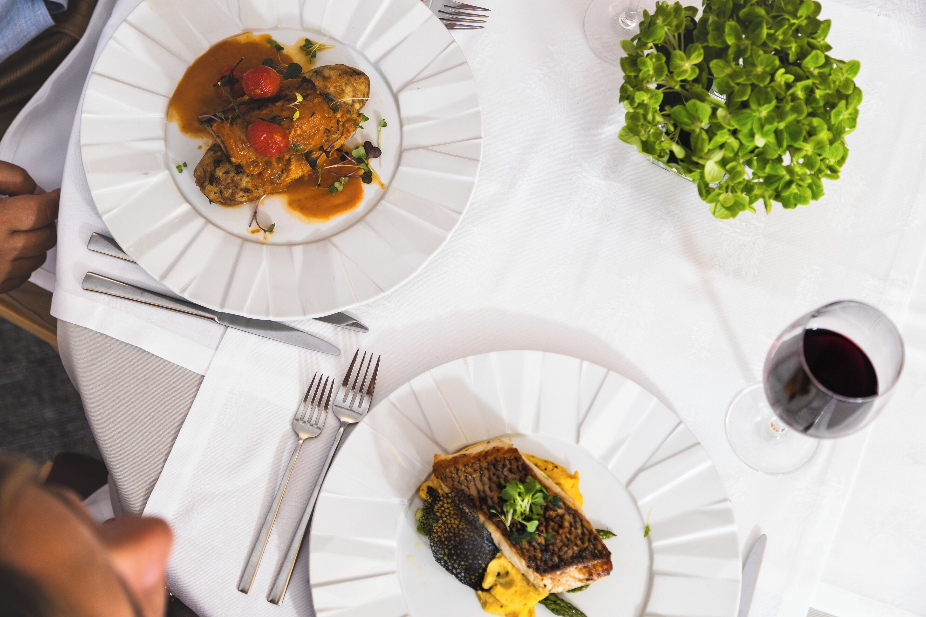 A dining table with two plates of food, a glass of red wine, and a small plant.