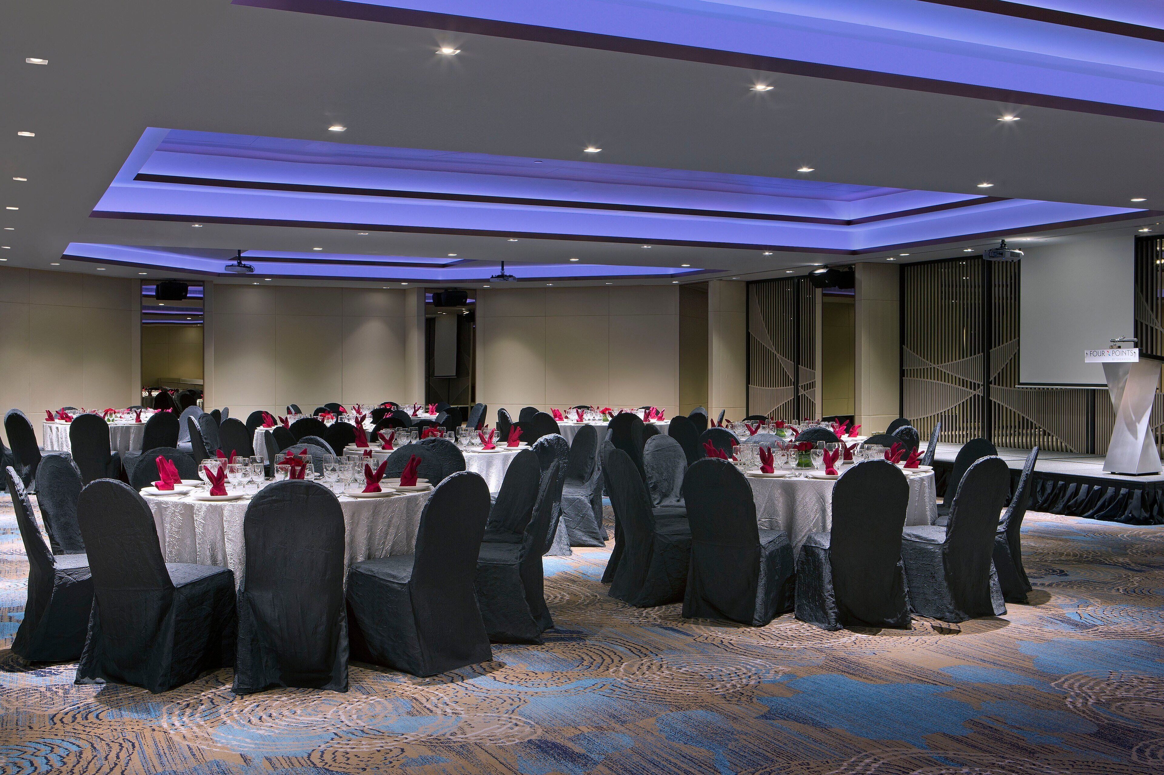 A banquet hall with round tables, black chairs, and a carpeted floor.