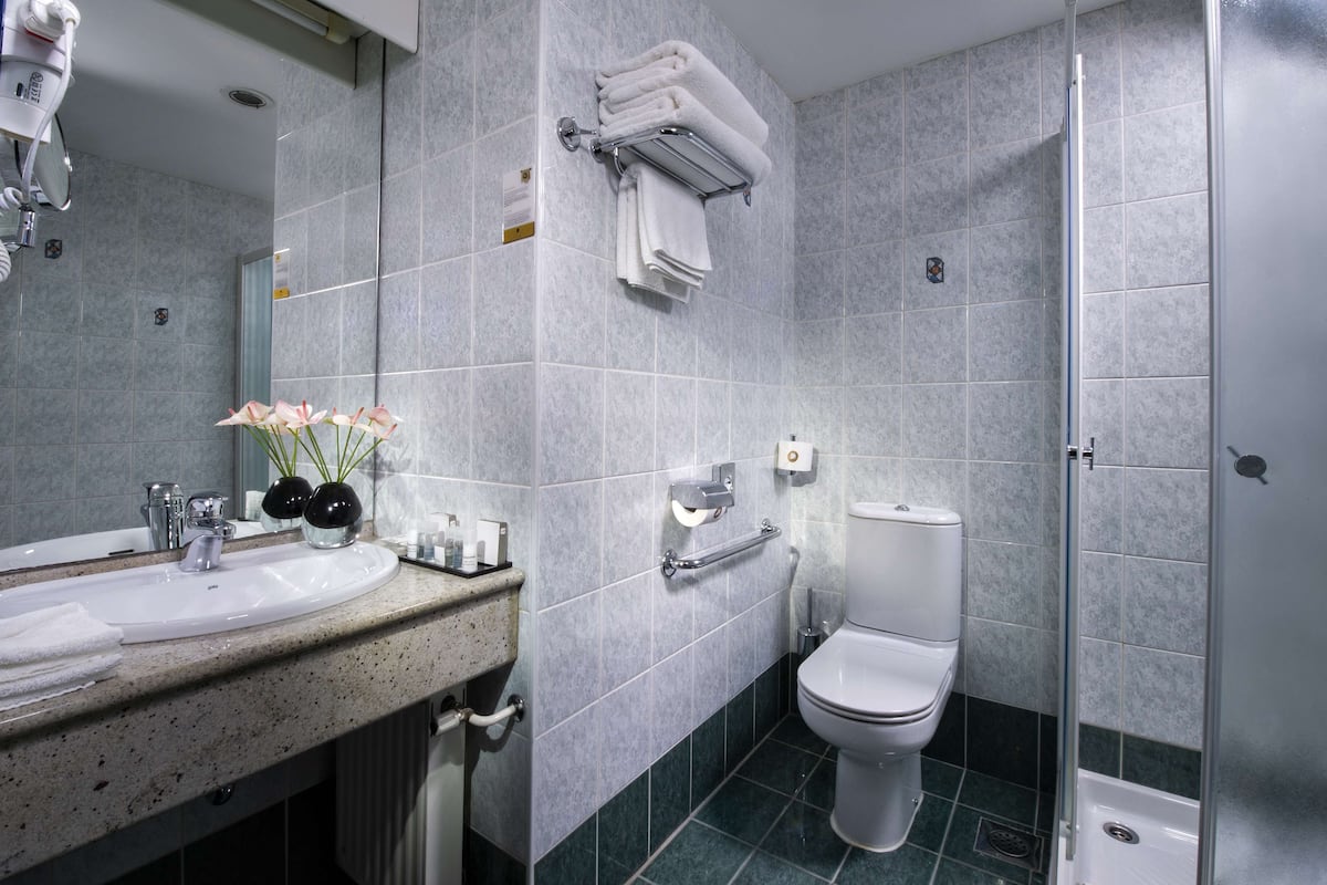 Une salle de bain moderne équipée d’un lavabo, d’un miroir, de toilettes et d’une douche.