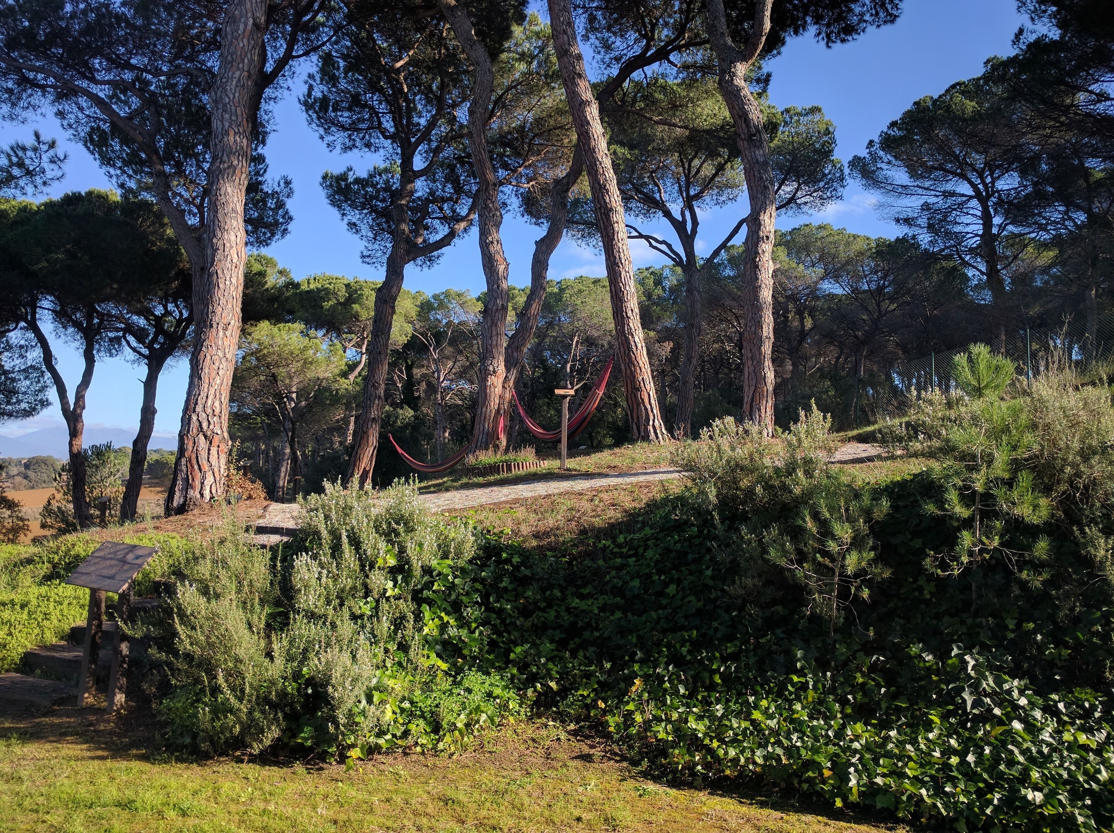outdoor banquet area