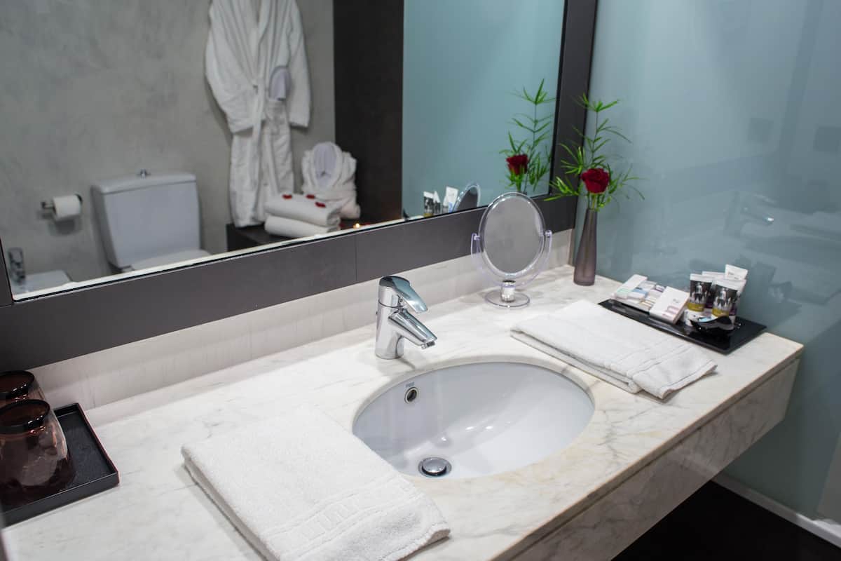 eco-friendly toiletries, hair dryer, toilet paper