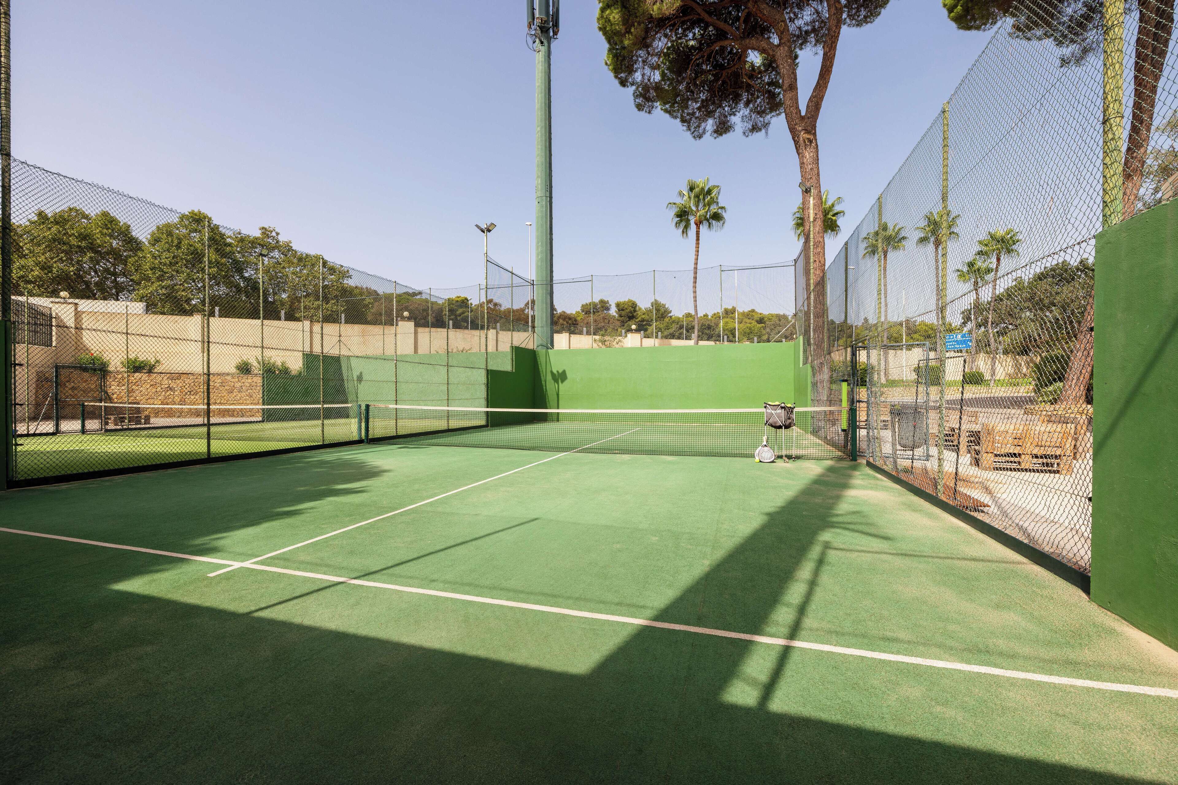 Un court de tennis intérieur, doté d’un filet, entouré d’une clôture en treillis métallique et bordé de palmiers en arrière-plan.