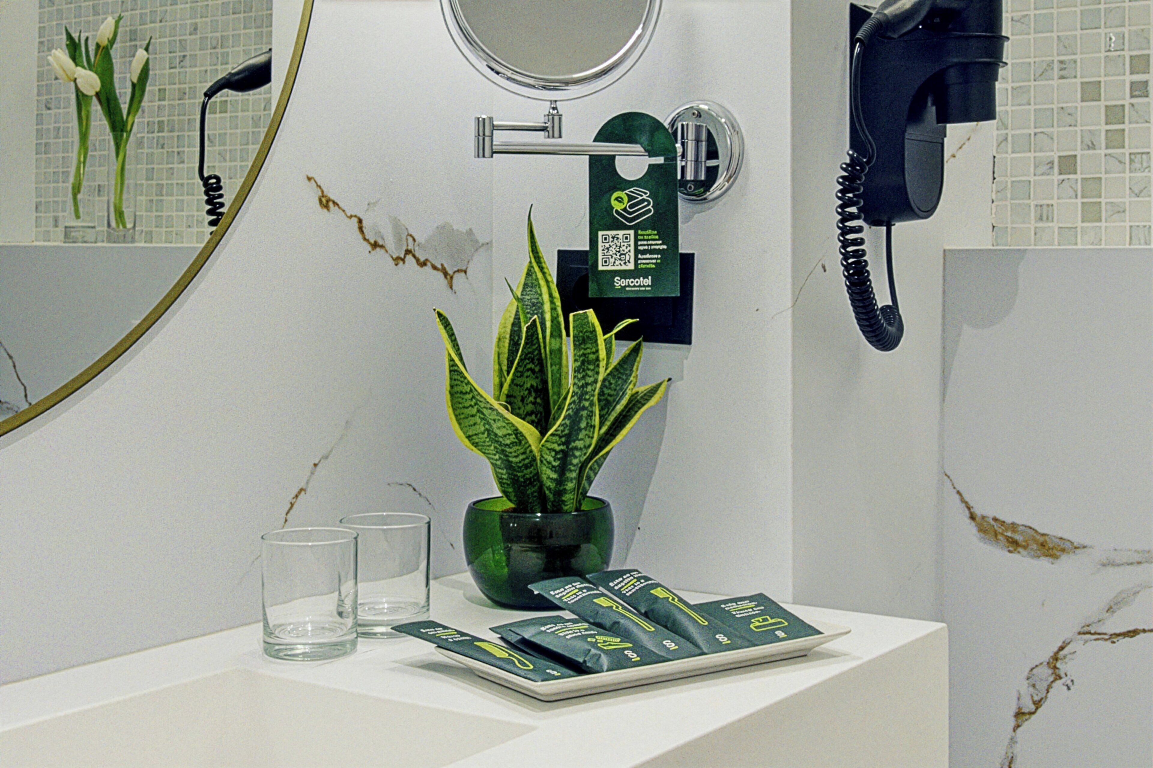 Un baño con lavamanos, una planta verde, secador de pelo y espejo.