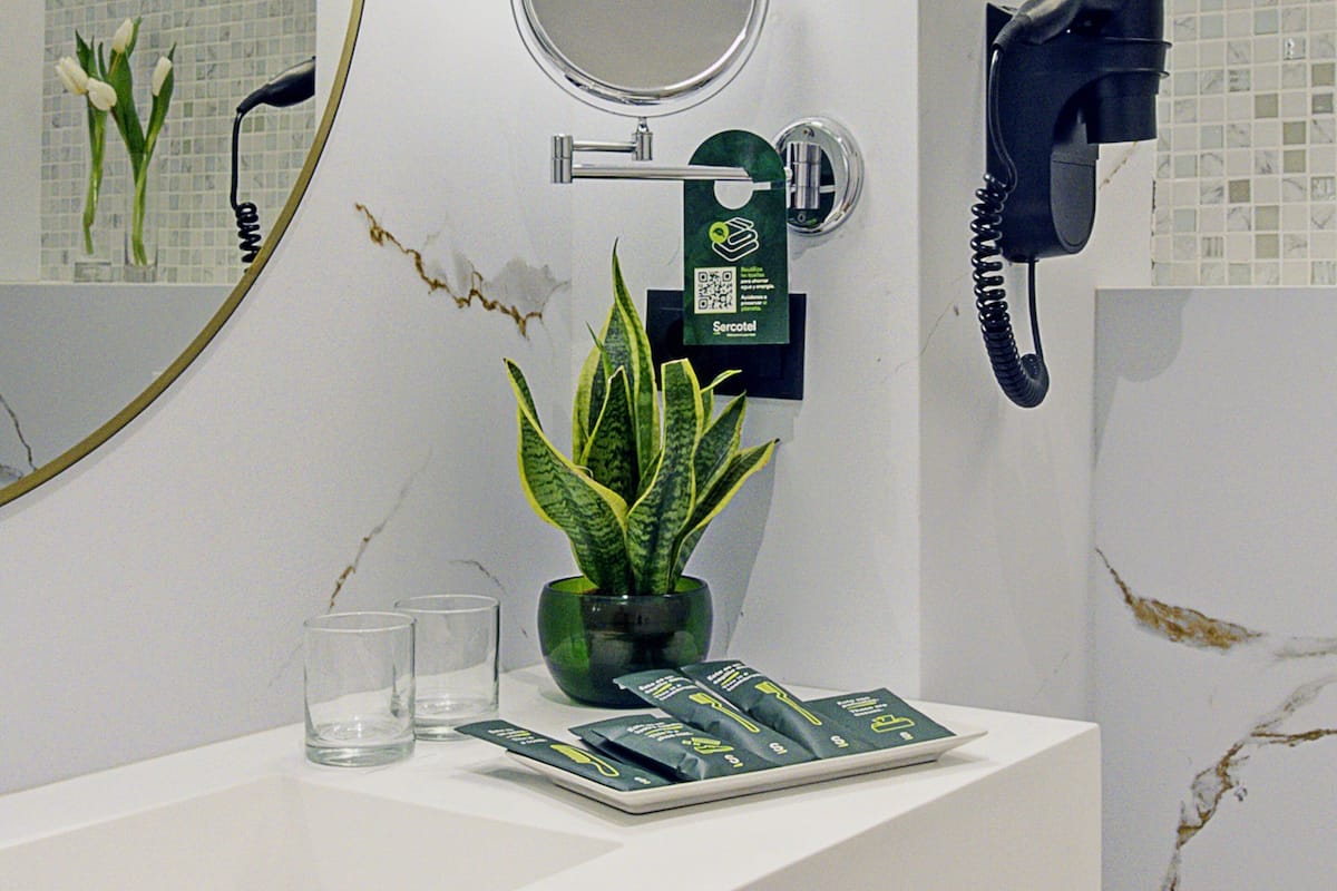 Hair dryer, bidet, towels