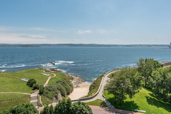 Vista desde la habitación