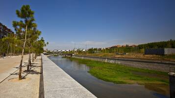 Un sendero junto al río, con árboles y un puente al fondo.
