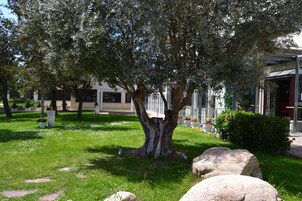 Un patio arbolado con un sendero de piedra, plantas en macetas y un edificio con amplias ventanas al fondo.