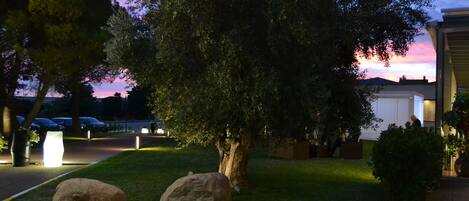A landscaped garden with large rocks, a tree, and a building with illuminated windows.