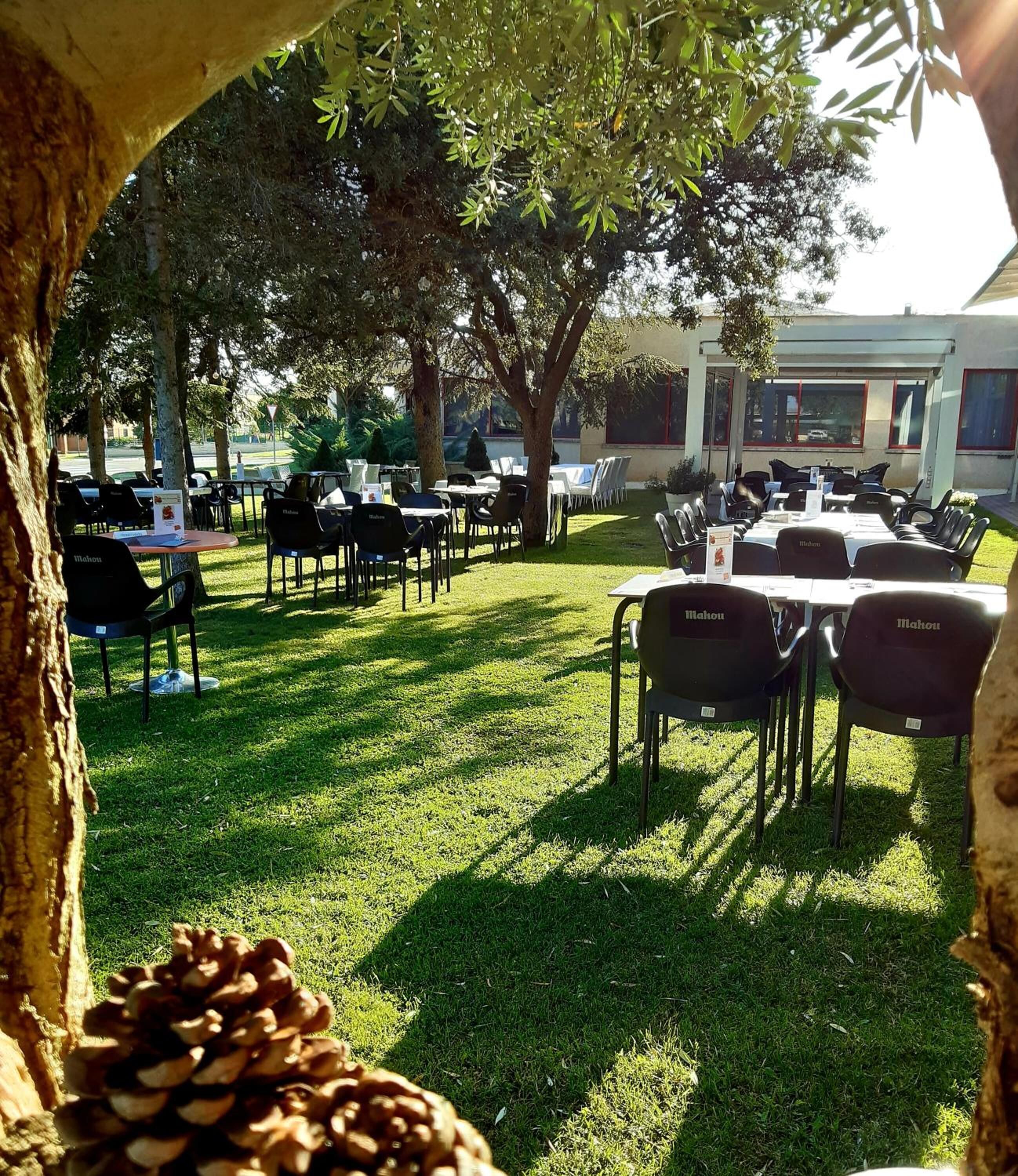 Un área de comedor al aire libre con mesas y sillas, rodeada de árboles y un edificio al fondo.