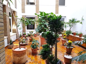 Vista al patio