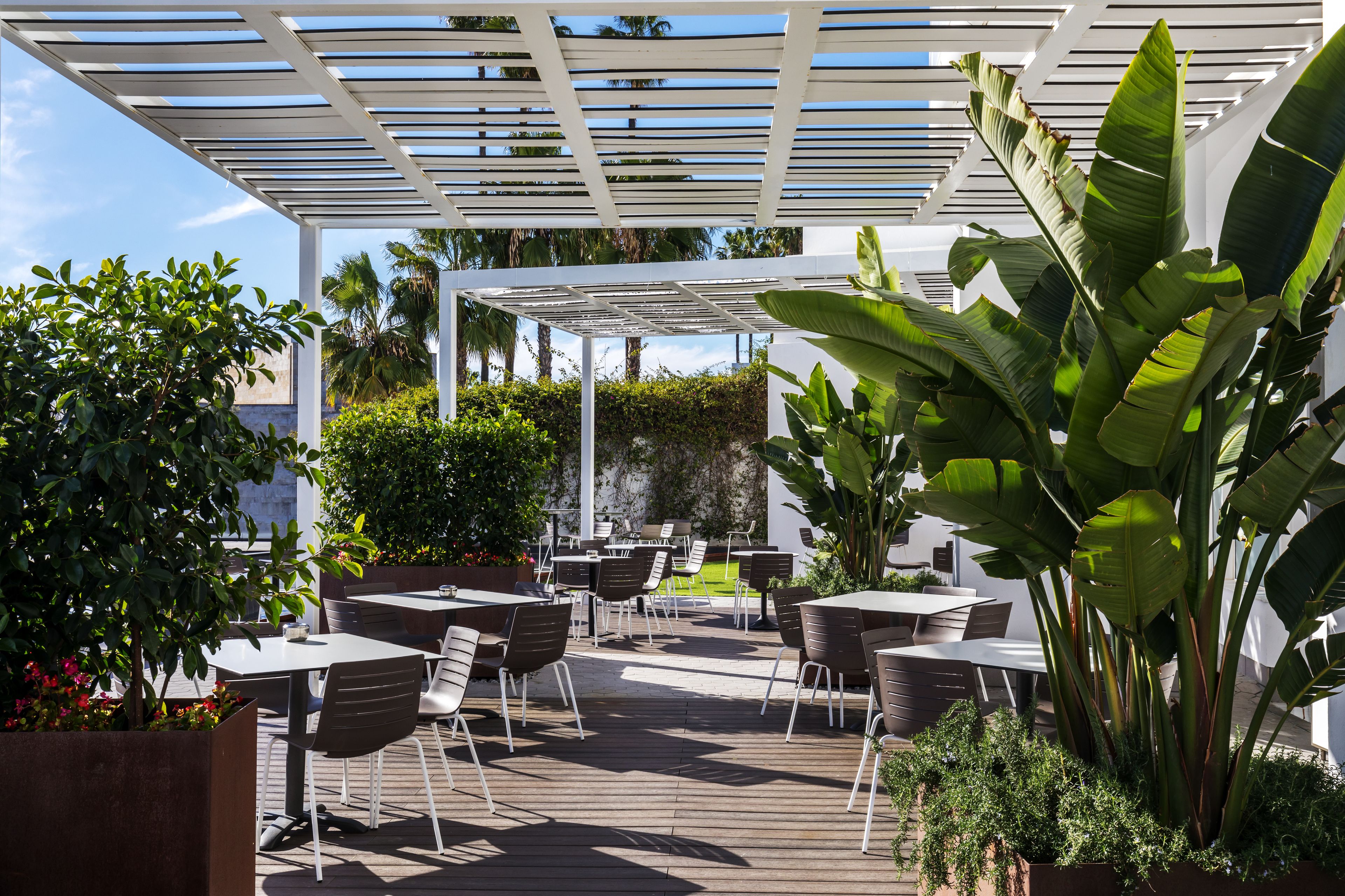 Un patio al aire libre con mesas y sillas, rodeado de follaje y una estructura de pérgola blanca.
