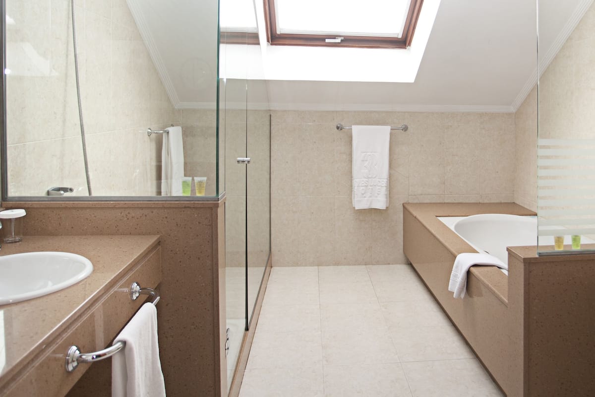 combined shower/bathtub, hair dryer, towels