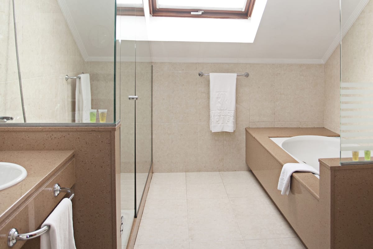 combined shower/bathtub, hair dryer, towels