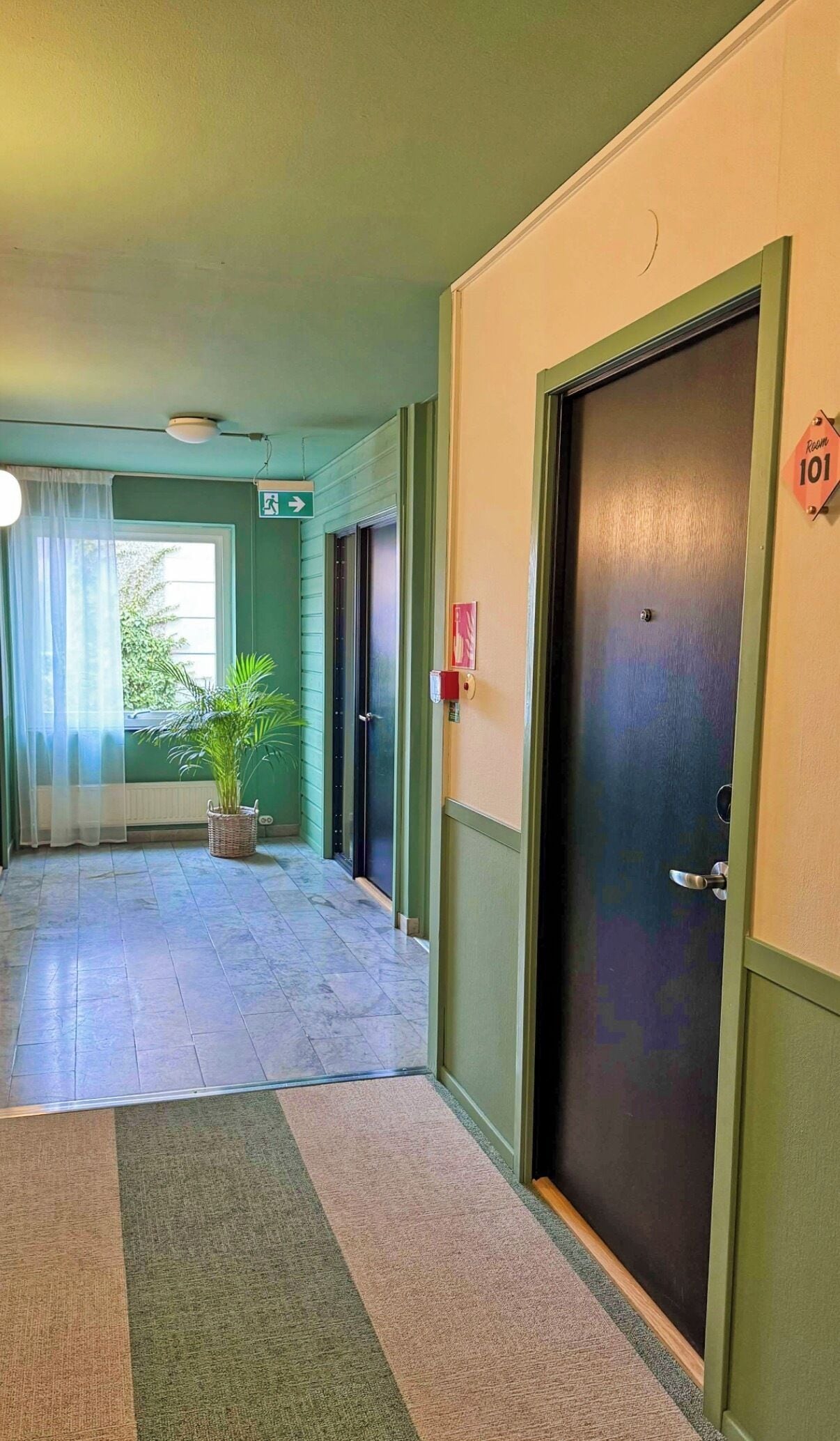 A hotel corridor with a door marked 'Room 101,' a potted plant, and a directional sign.
