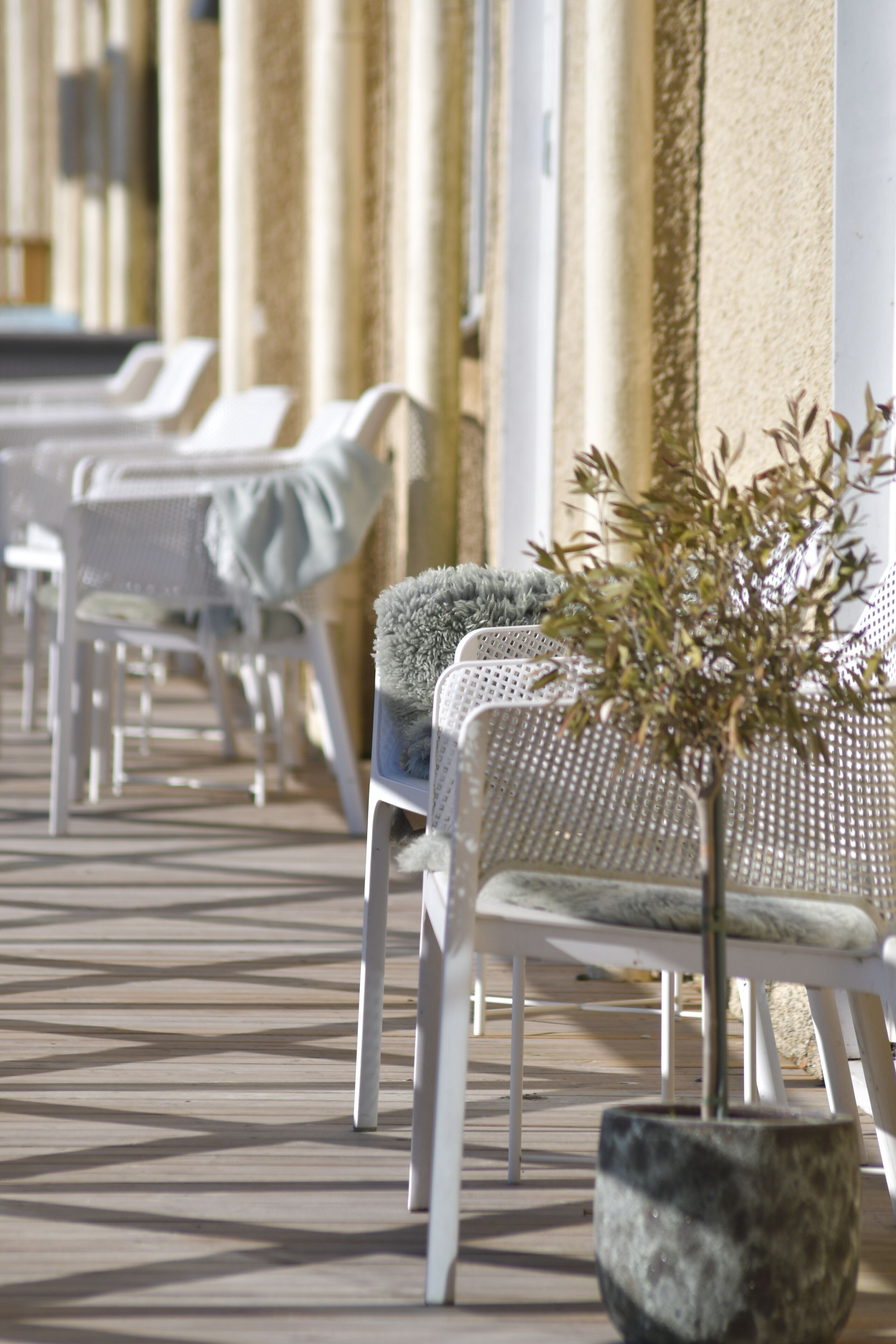 Une rangée de chaises en osier blanc, avec un pot de fleurs placé au premier plan.