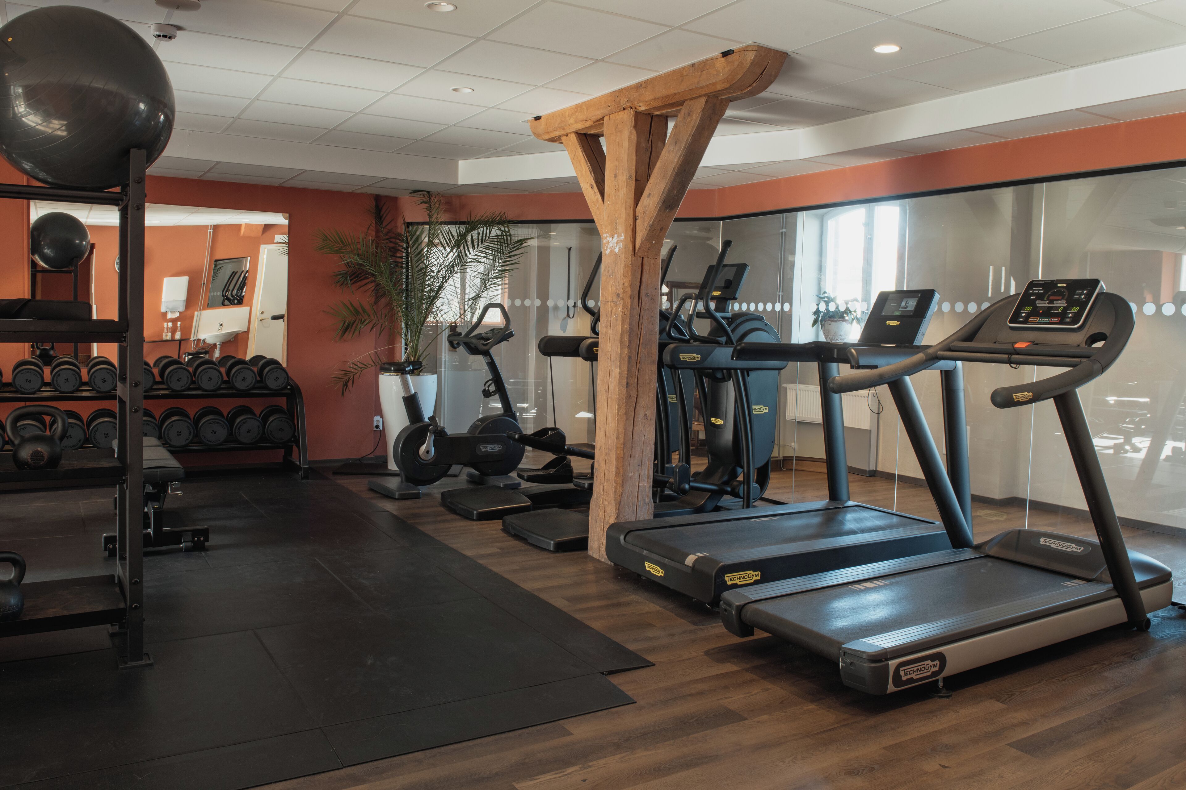 A gym with treadmills, dumbbells, and weight machines.