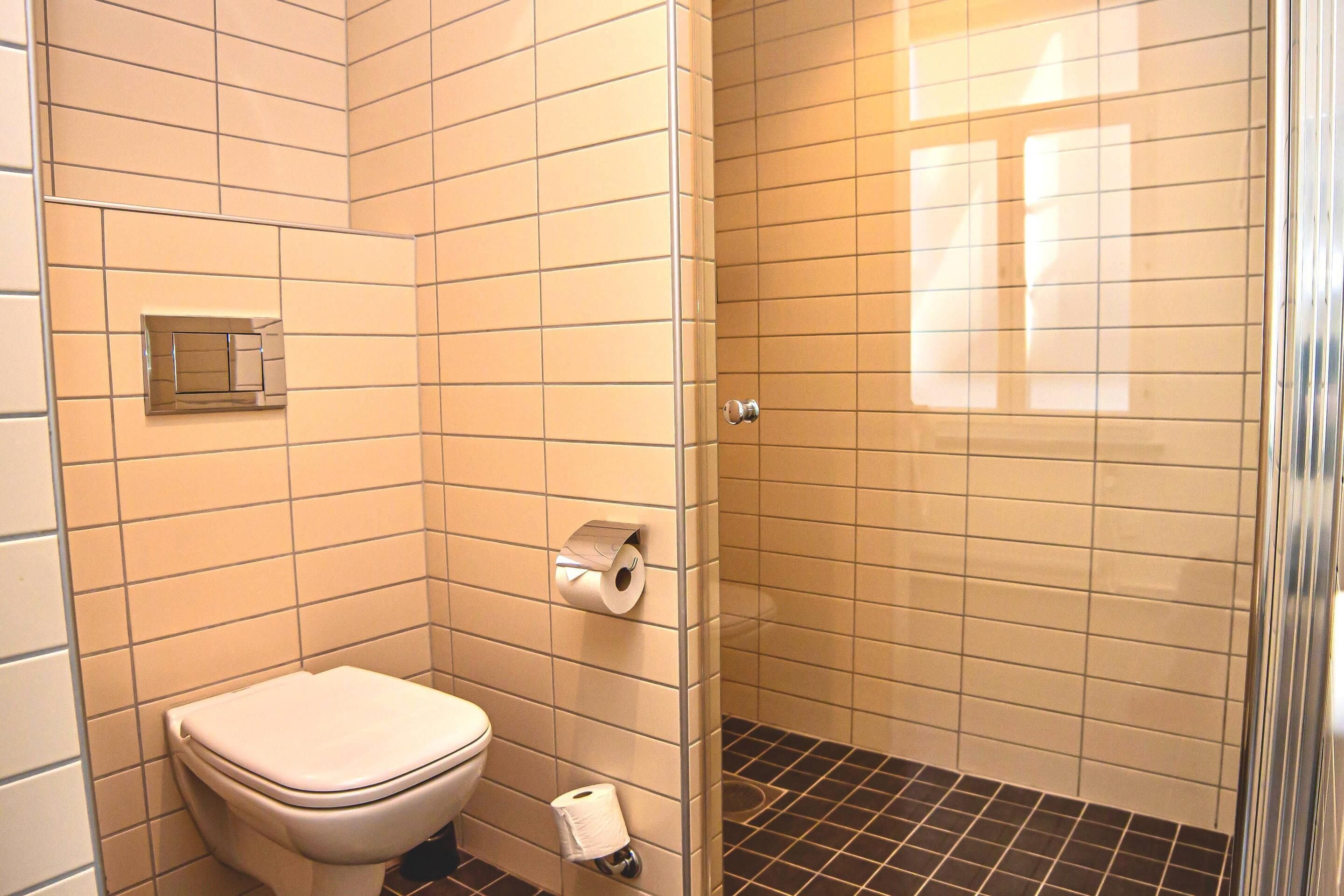 Een badkamer met een toilet, een douche en een toiletrolhouder.