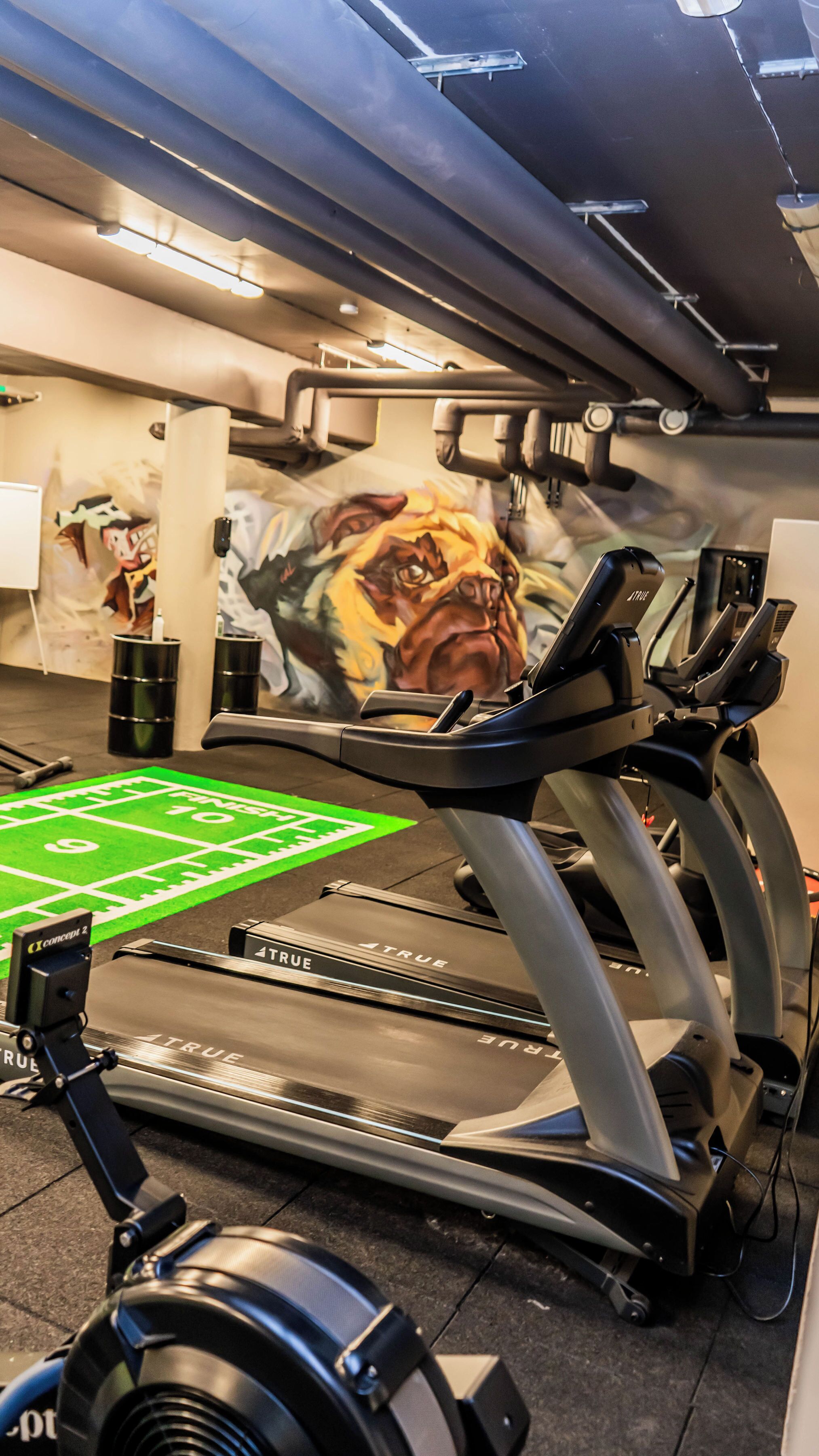 A treadmill with a mirrored wall, a green running track, and a mural of a tiger's face.