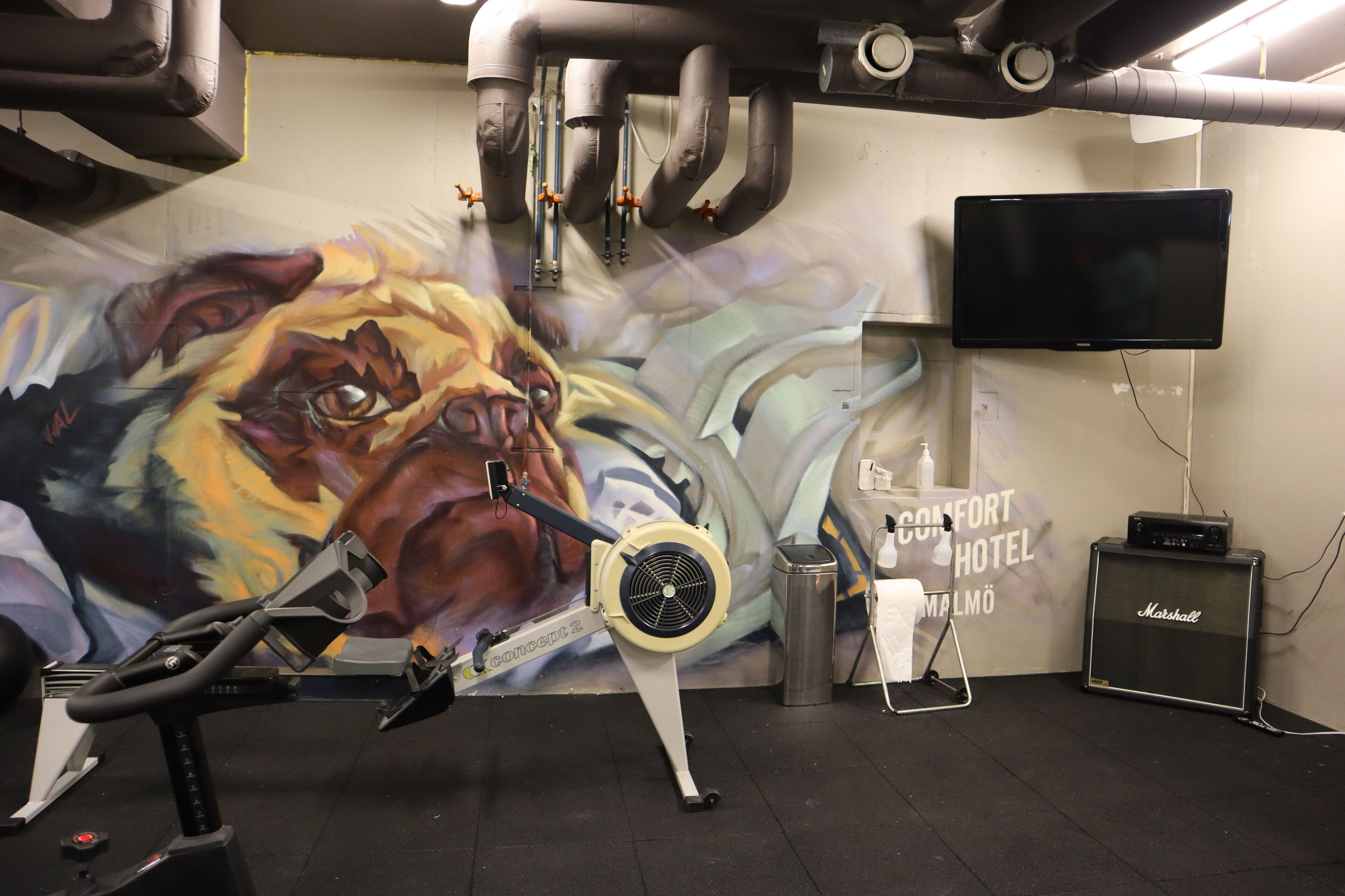Ein Fitnessraum mit Trainingsgeräten, einer Wandmalerei, einem Fernseher und einem Marshall-Lautsprecher.