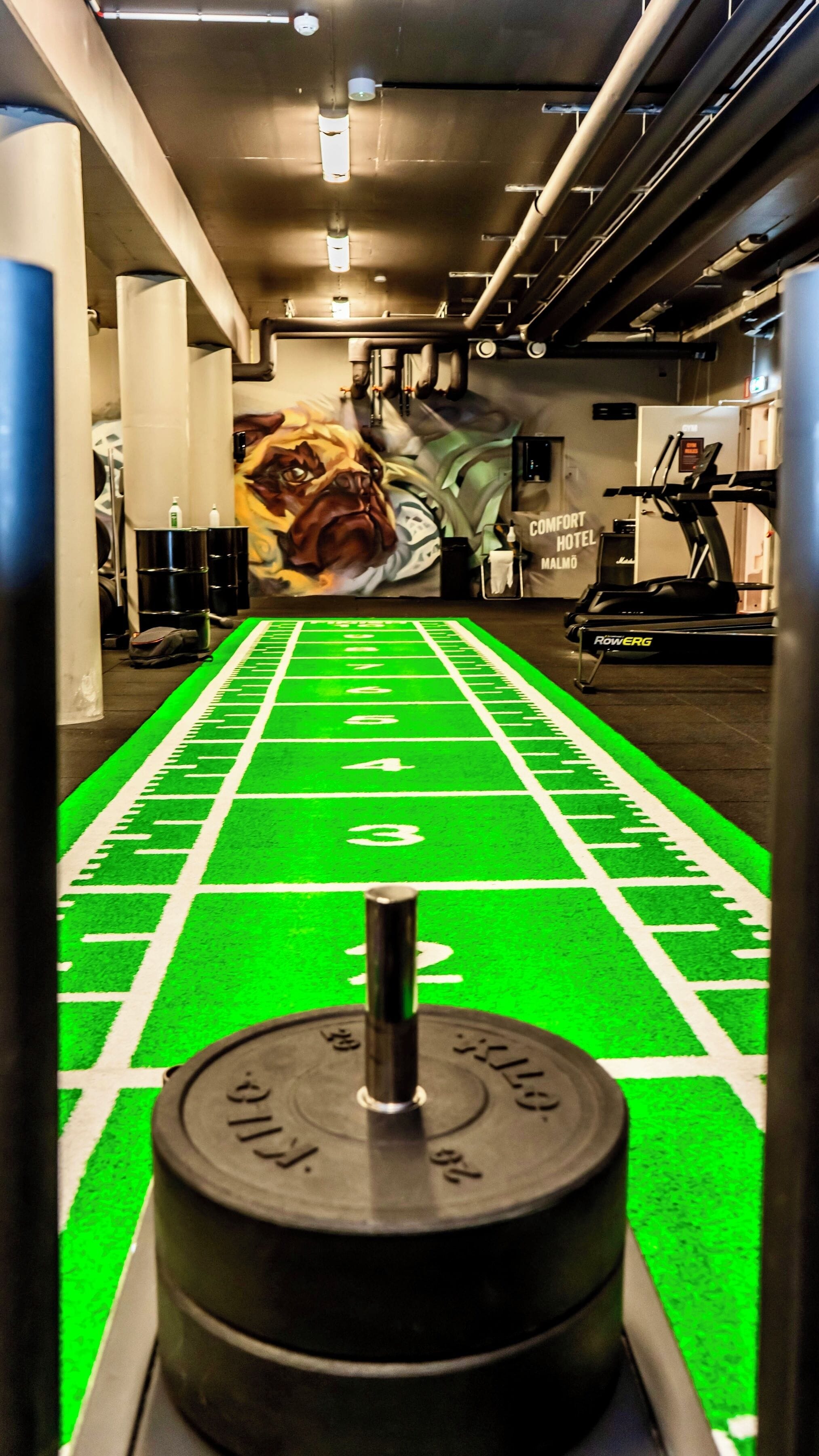 Un gimnasio con una pista de correr verde, equipo de levantamiento de pesas y un mural en la pared.