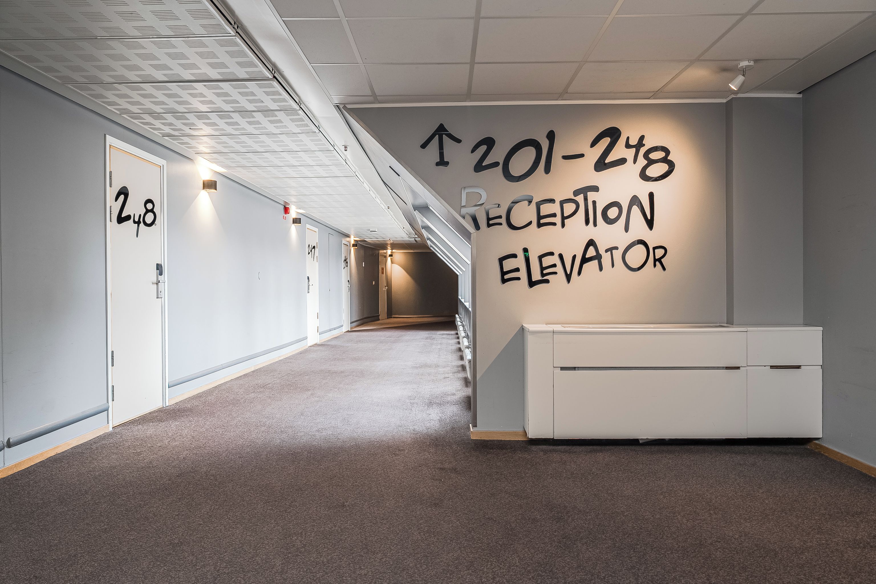 A hallway with a reception elevator sign, doors numbered 201-248, and a carpeted floor.