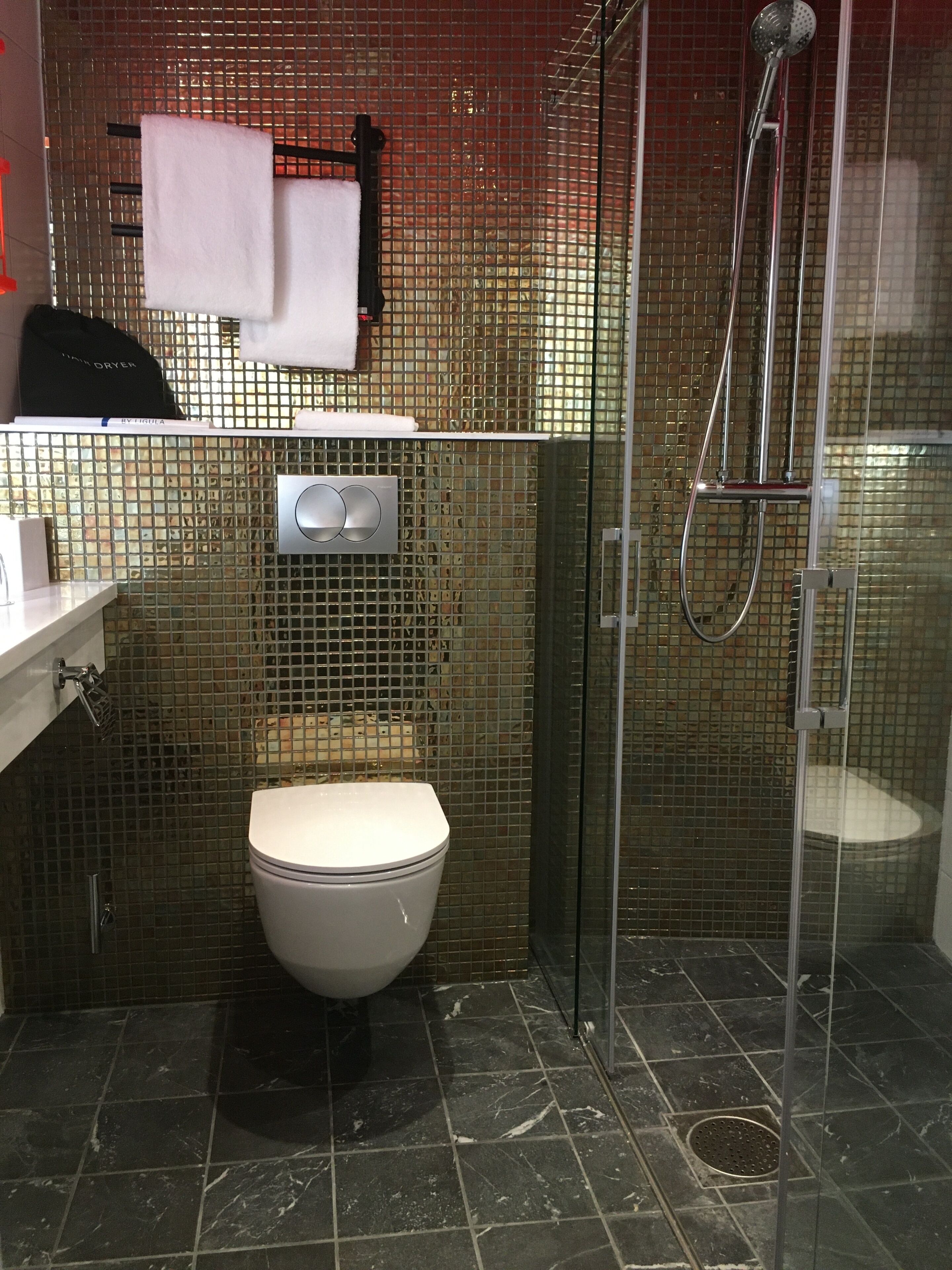 Une salle de bain équipée de toilettes, d’une douche et d’un porte-serviettes.
