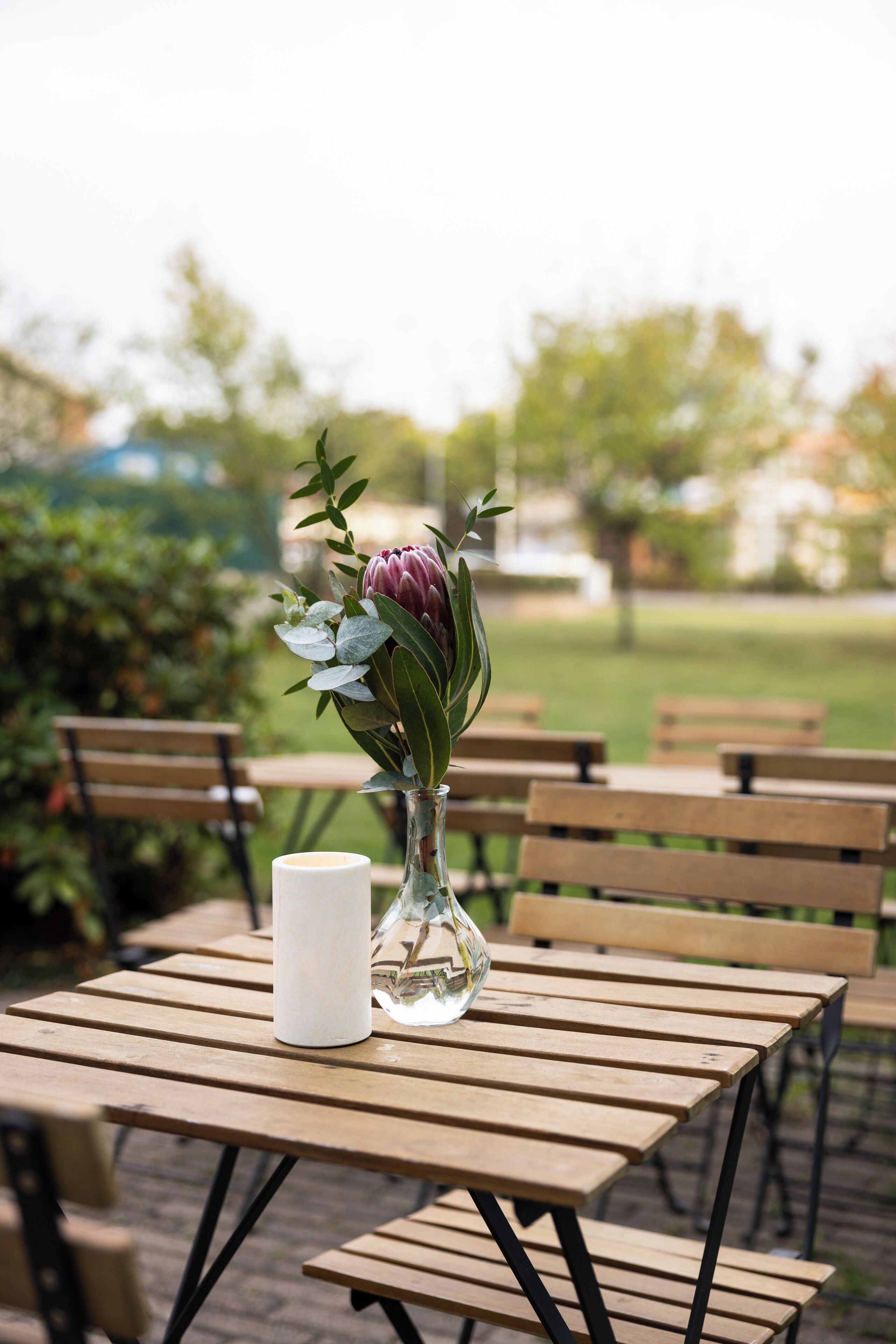 Terras