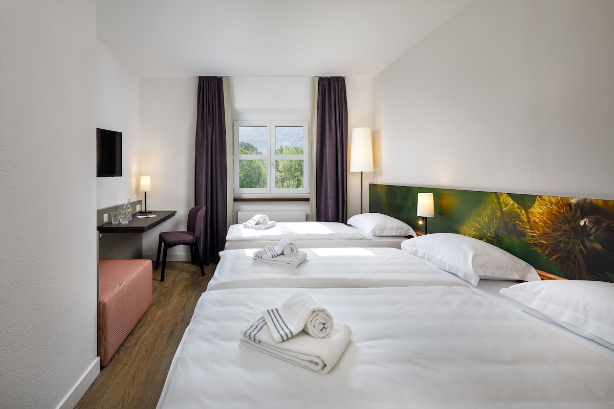 triple room, air condition | 1 bedroom, desk, blackout curtains, soundproofing