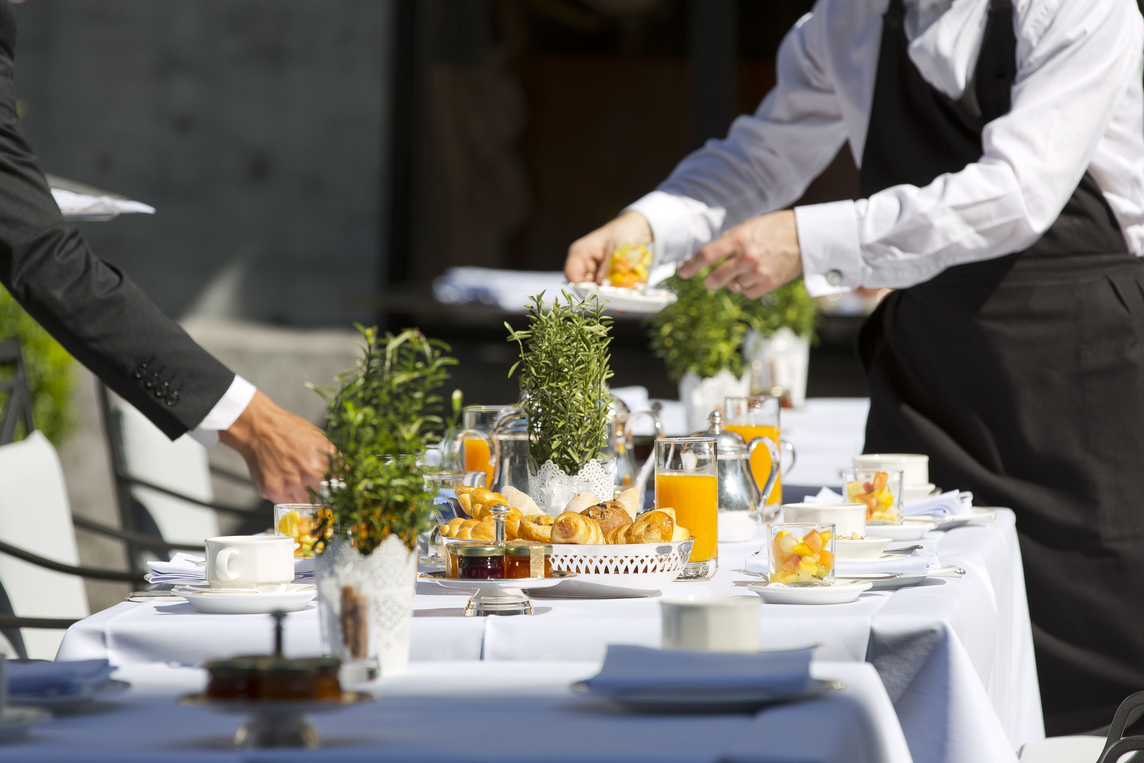lunch and dinner served, french cuisine