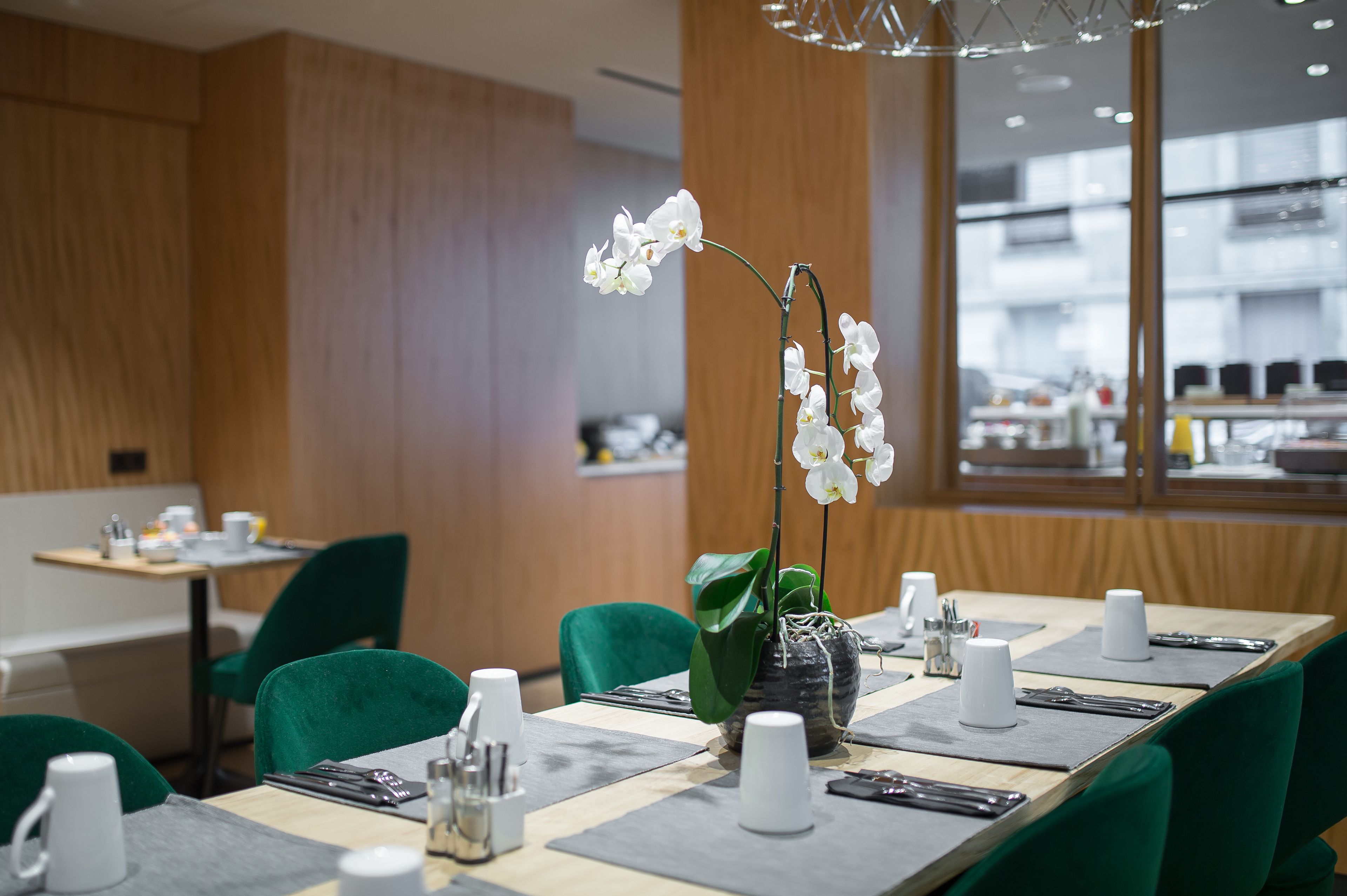 Un espace de restauration moderne avec des chaises vertes, une longue table dressée avec des tasses blanches, des couverts et une orchidée en pot.