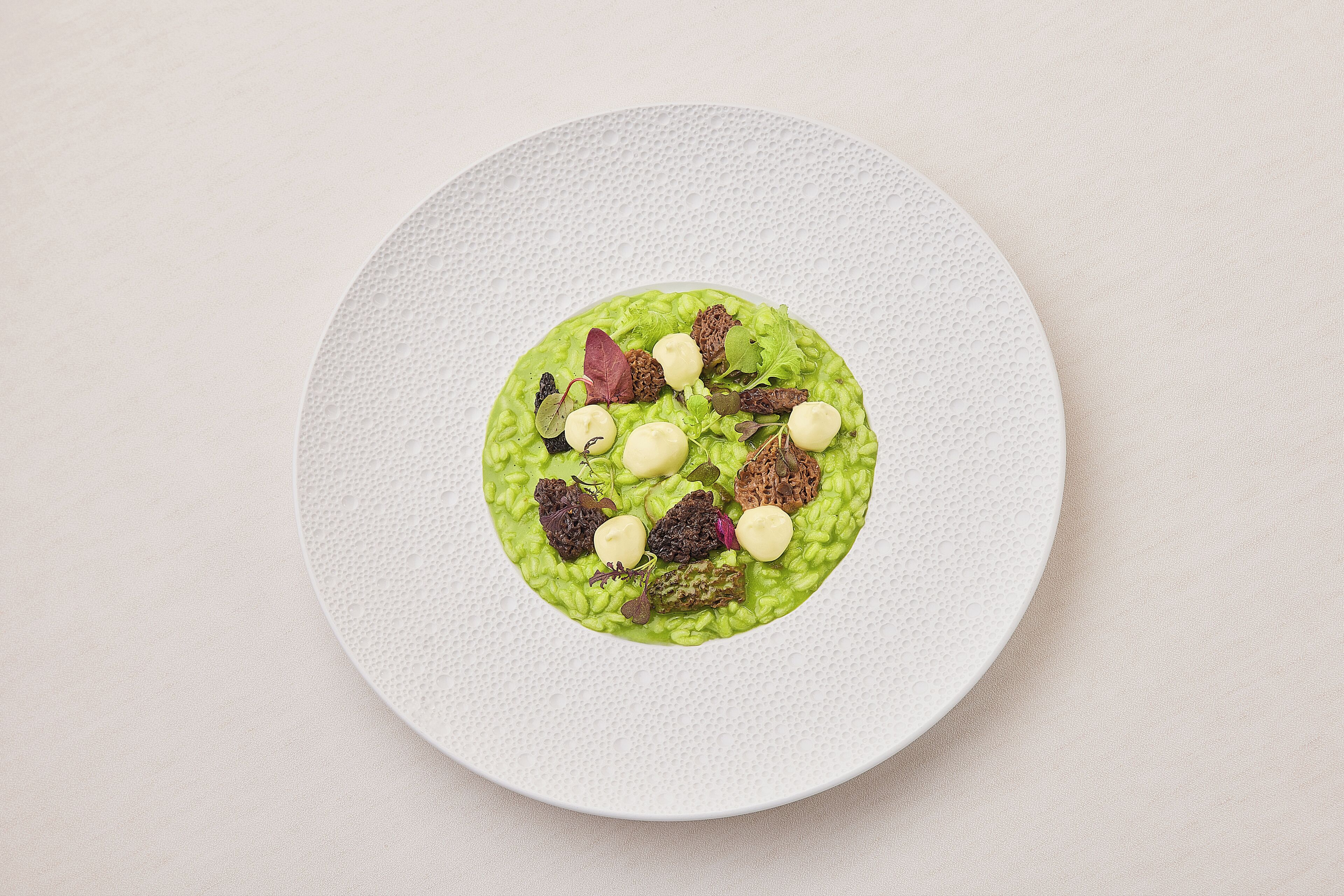 A plate with a green puree and various garnishes on a textured white plate.