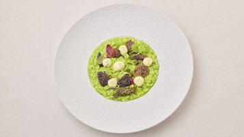 A plate with a green puree and various garnishes on a textured white plate.