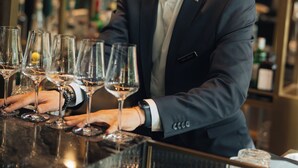 Bar (on property) - AMERON Zürich Bellerive au Lac (Zürich)