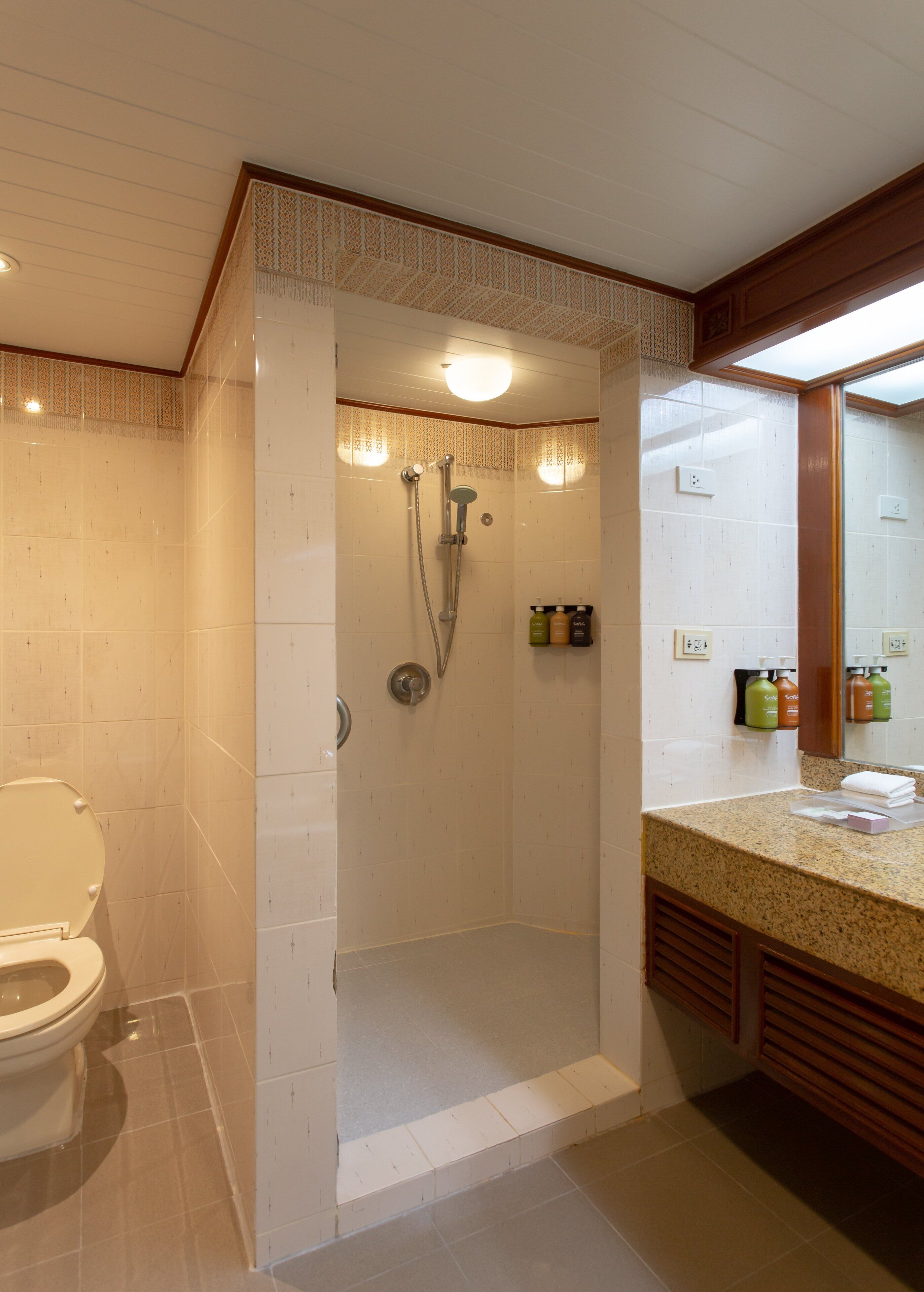 A bathroom with a shower, toilet, and vanity with a mirror.