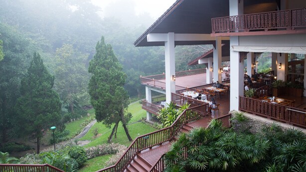 A multi-level building with outdoor dining areas, surrounded by lush greenery and trees.