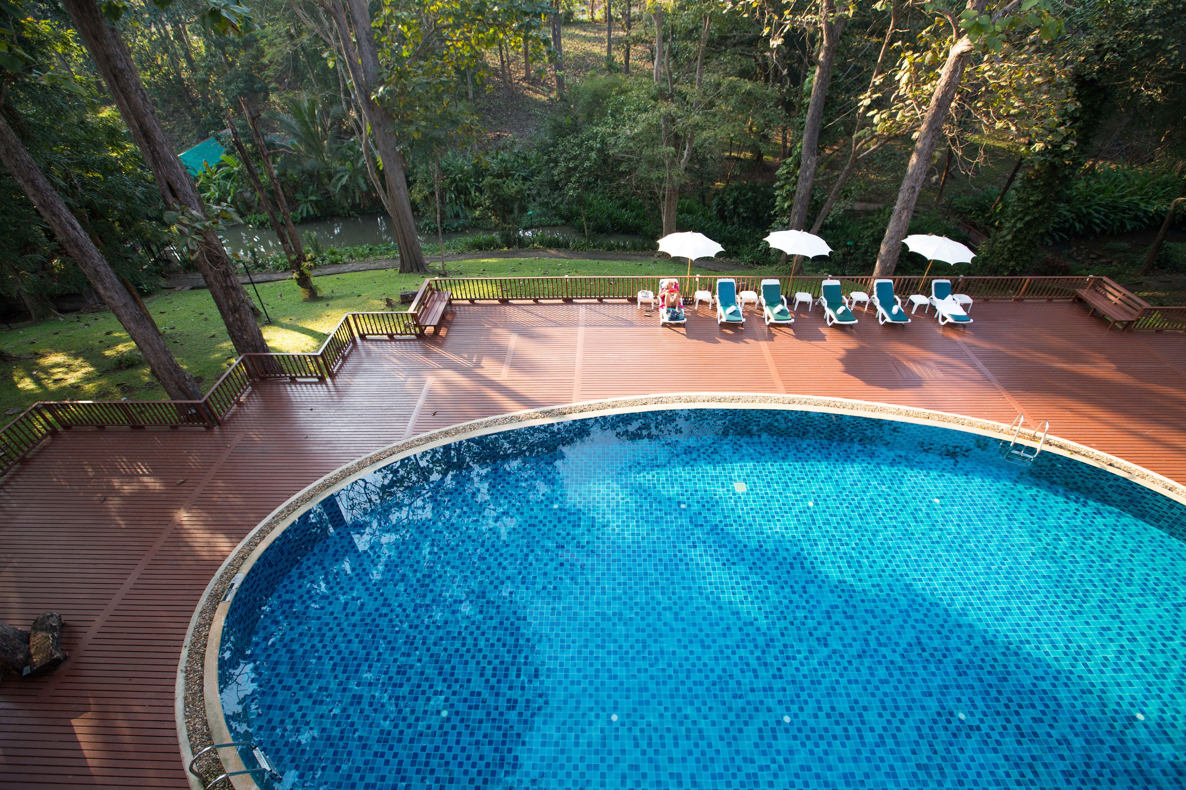 A swimming pool with a wooden deck, surrounded by trees. There are lounge chairs and umbrellas.